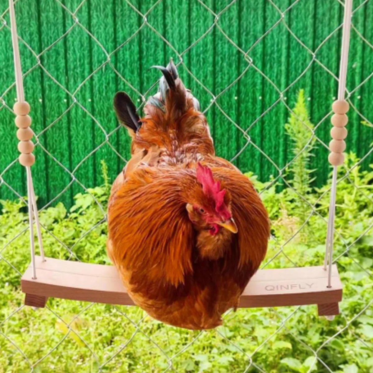 Columpio de pollo para gallinas Juguetes de pollo para gallinas
