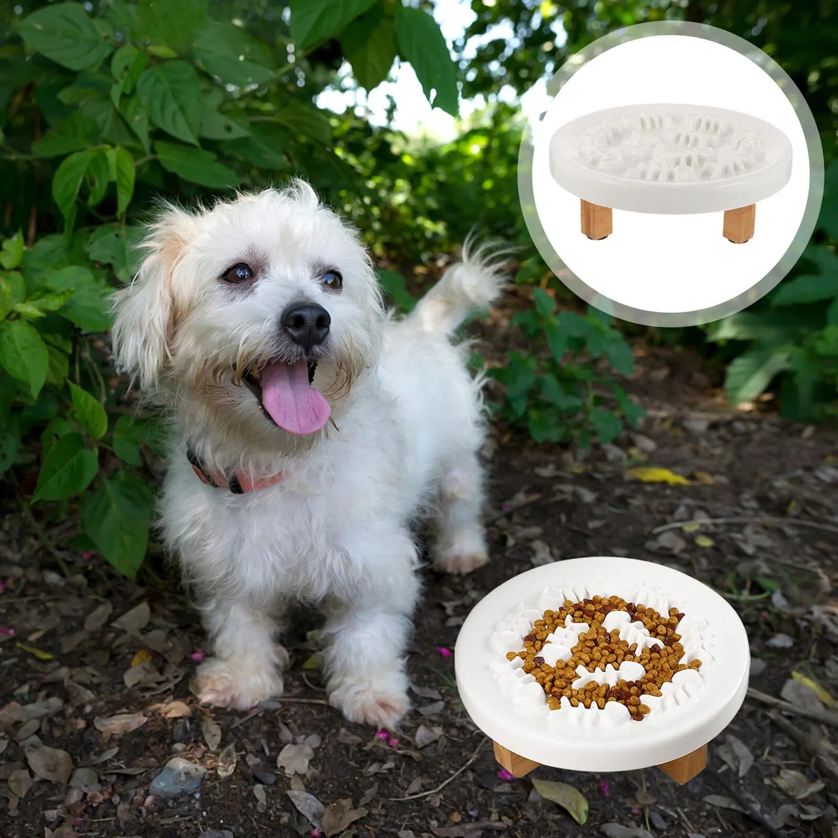 Gatuida Comedero Elevado para Mascotas de Cerámica con Soporte de Madera, Protección para Cuello, Adecuado para Perros Pequeños y Gatos, Alimentación Lenta