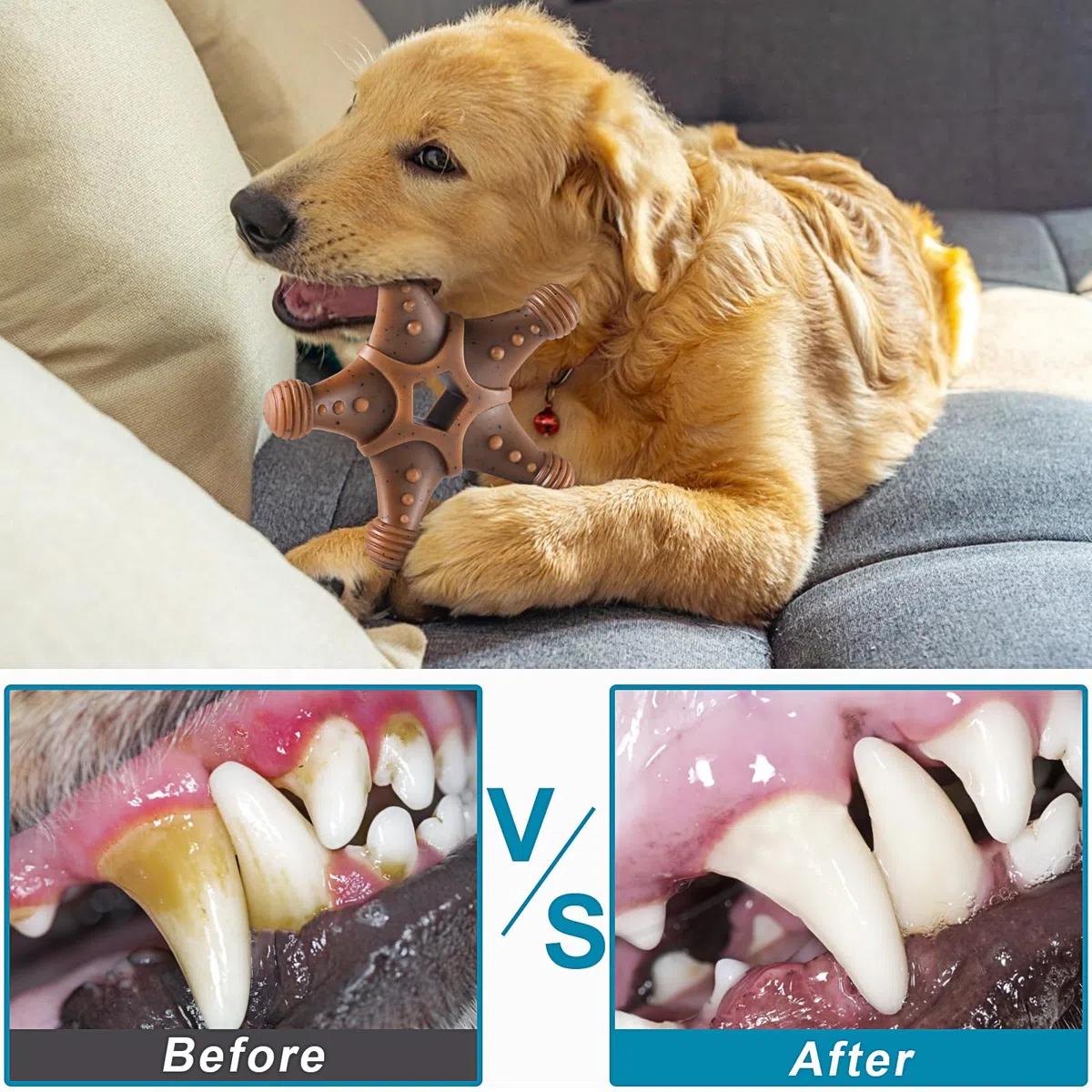 Juguetes Masticables Mordedores Perro, Juguetes Indestructibles Regalos para Perros, Juguetes Duraderos para Perros de Razas Grandes, Medianas y Pequeñas, Paquete de 4 Juguetes Súper