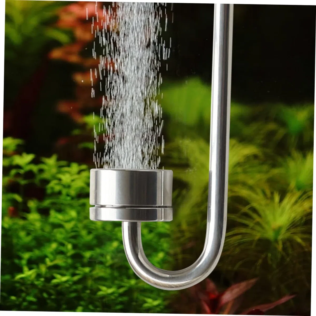 Toddmomy 3 Piezas peceras difusor de Acuario pecera Burbuja de Acuario para Plantas Tubo de refinación de Tanque plantado refinador Agente de refinación c02