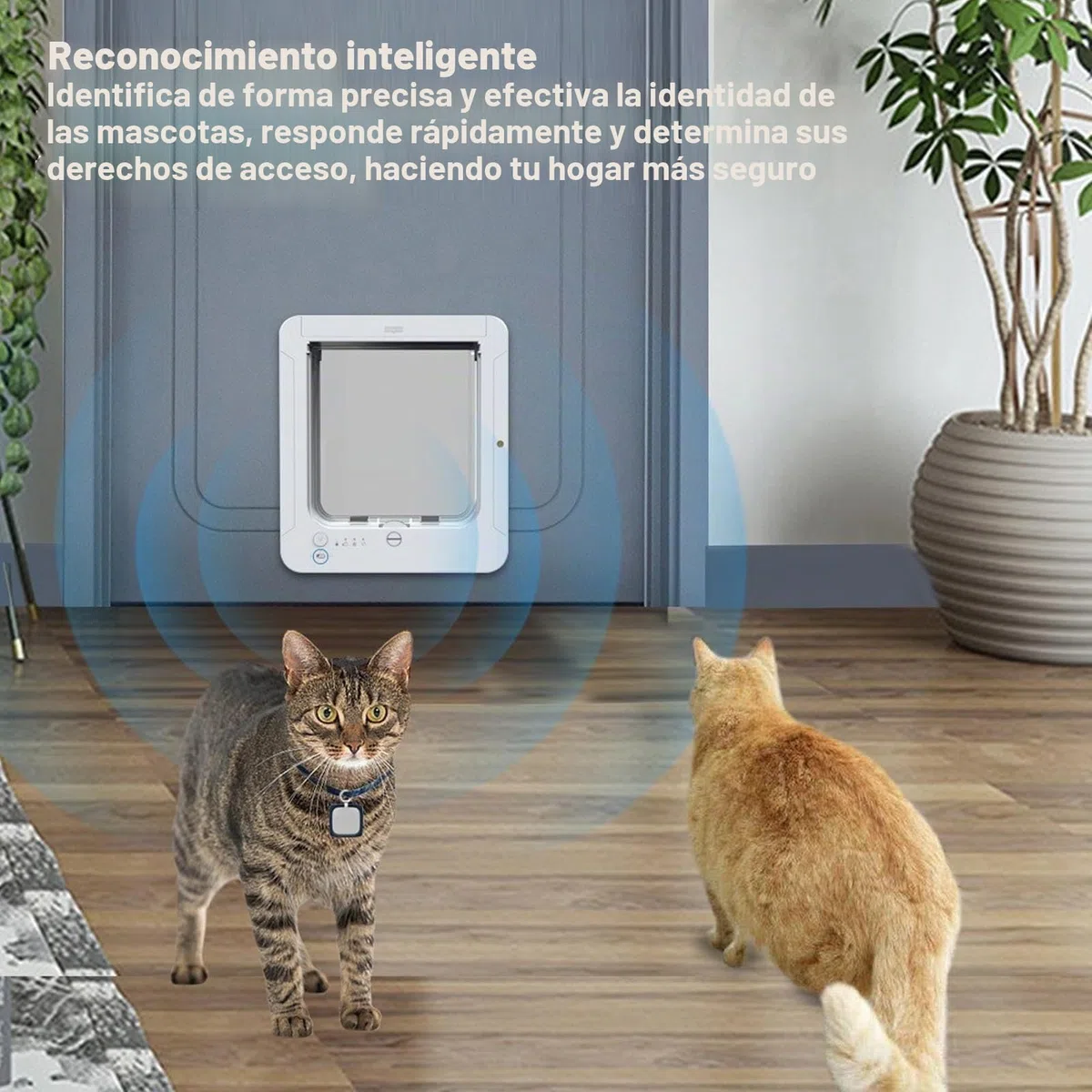 Fockety Puerta Inteligente para Gatos para Interior y Exterior, con Microchip de detección automática, Sensor de 2 Collares y Cierre de 4 vías, gatera para Paredes y hogar.