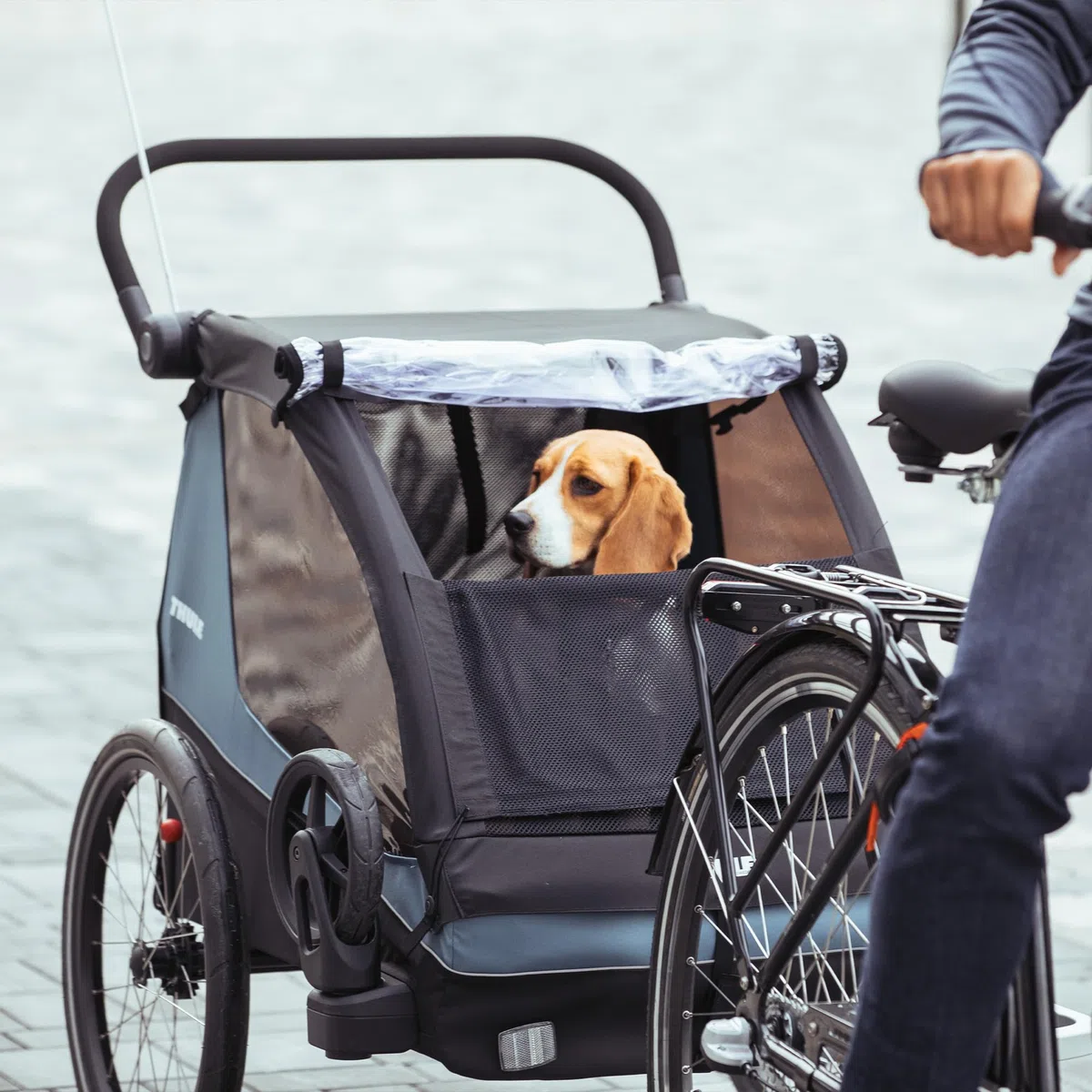 Thule, Courier Dog Trailer Kit, Kit De Remolque De Perros, Neutral, U, Admirador Unisex