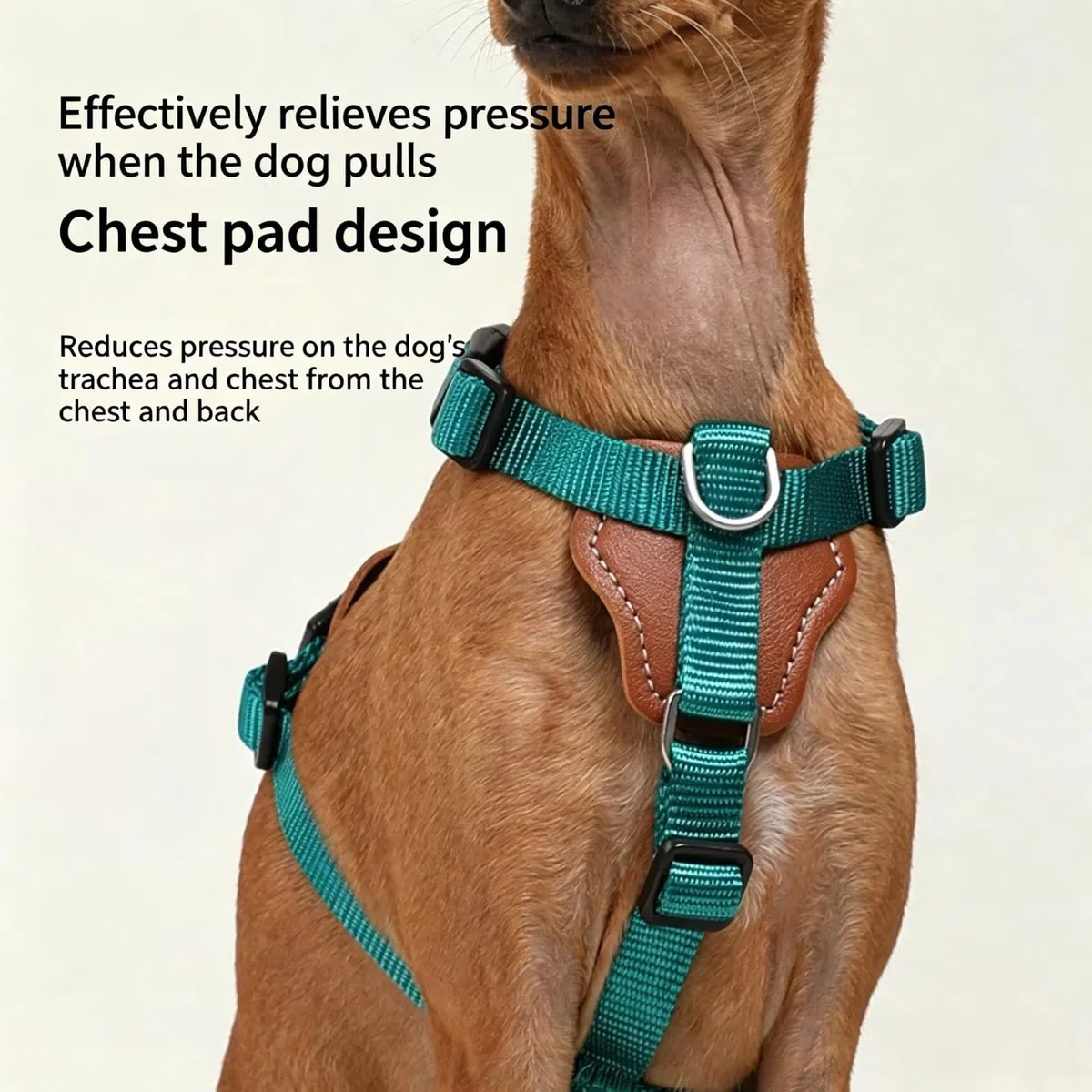 Arnés para perros en forma de H ajustable – Arnés antitirones con 2 anillos para correa, acolchado de malla transpirable, resistente al uso para entrenamiento y paseo, cromado, M