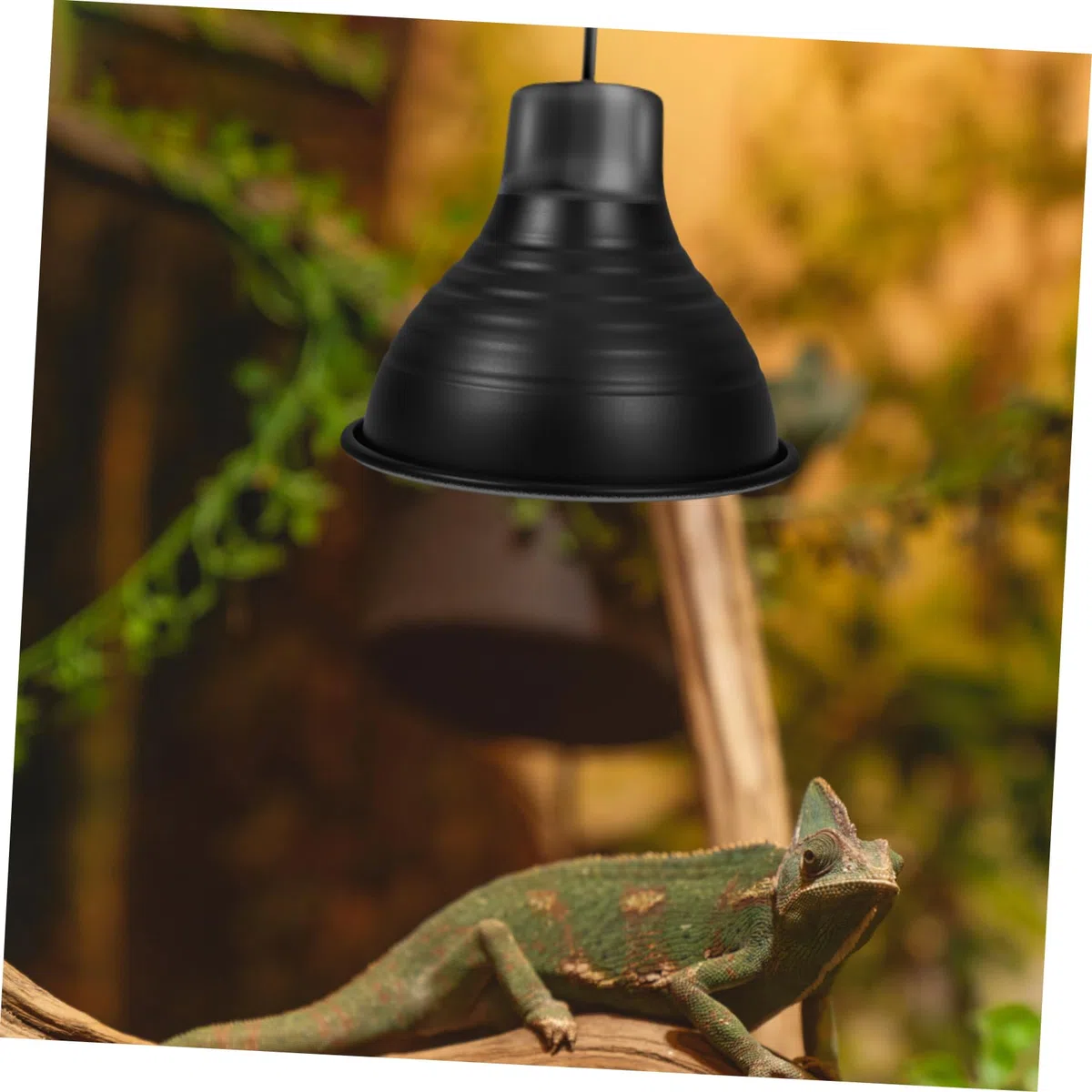 Cabilock 5 Piezas luminarias para reptiles accesorio de tanque de reptil cúpula de lámpara de reptil calentador reptiles Accesorios de iluminación para reptiles pantalla de reptil planchar