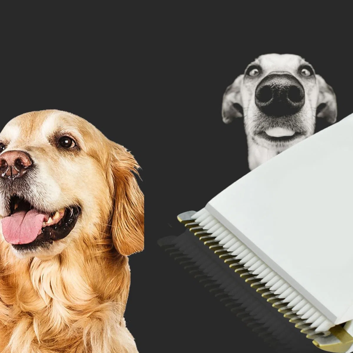 Cortapelos para Mascotas Usb, Potencia Estable, Suave, Abs