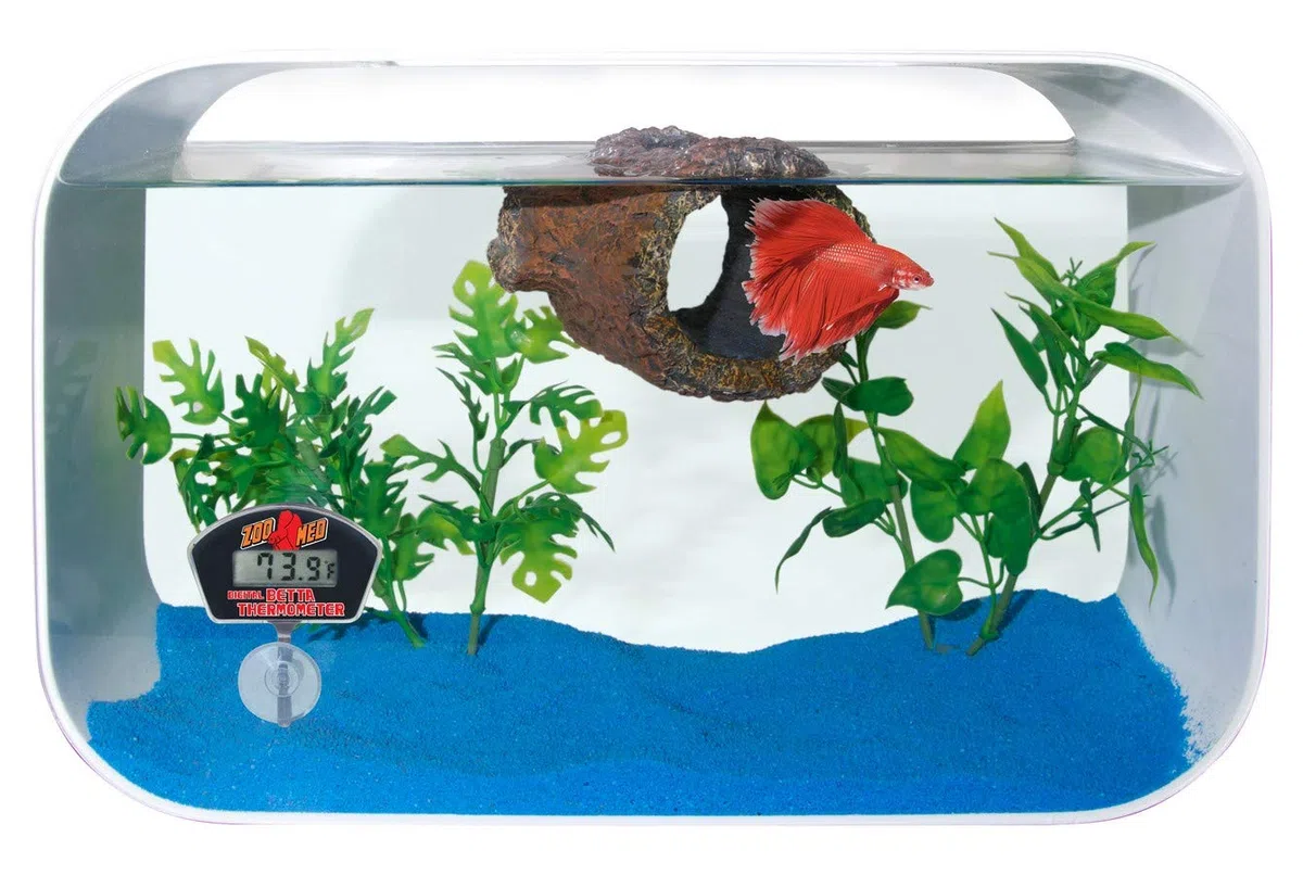 Zoo Med Paquete de 3 plantas artificiales betta, planta de papaya, con ventosas