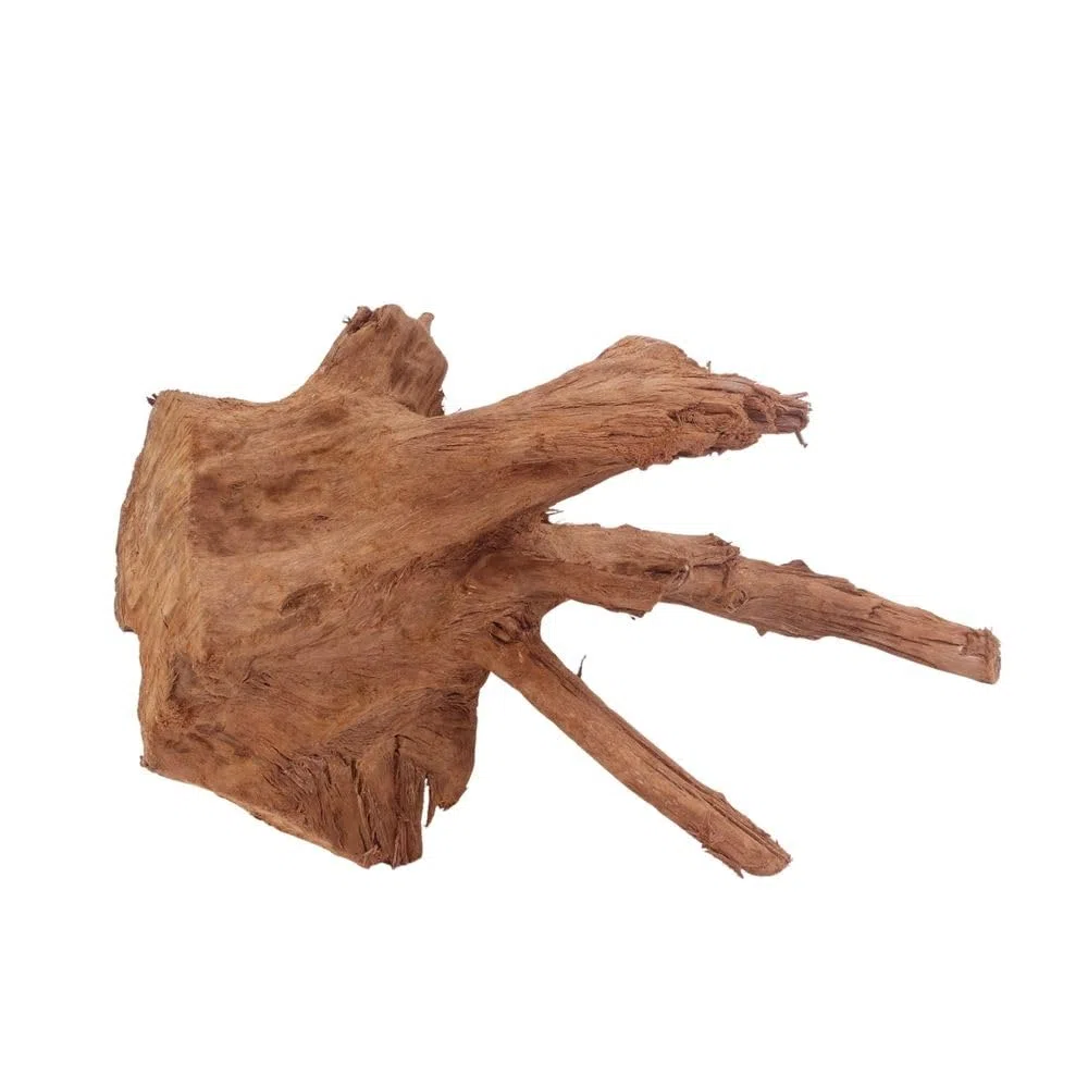 AquaOne Acuario de raíz decorativa L de manglar, madera auténtica, nº 4008, decoración de madera, plantas acuáticas, paisaje, musgo, naturaleza