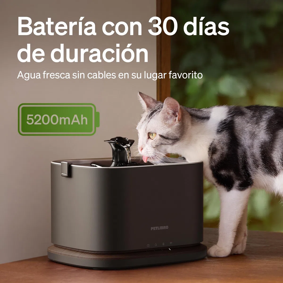 PETLIBRO Dockstream 2 Fuente Agua Gatos, Bebedero Automático App WiFi, 23dB Silencioso, Fácil Limpieza, 3L Acero Inoxidable, sin BPA — Batería 5000mAh Inalámbrico, Negro