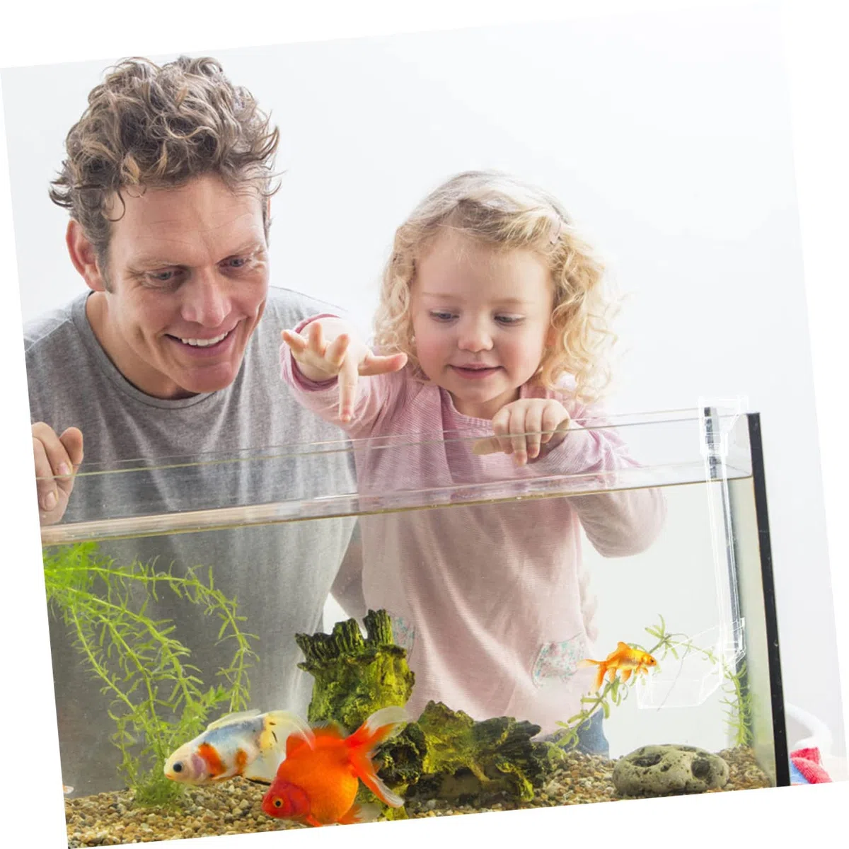 BESPORTBLE 3piezas Alimentador De Acrílico para Camarones Acuario Comedero Sólido para Peces y Camarones Suministros De Alimentación para Tanques