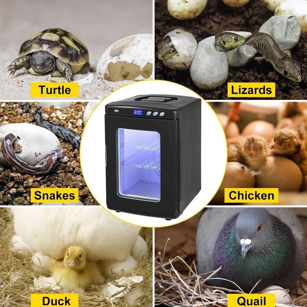 Incubadora de reptiles con termostato digital, control de temperatura ajustable para calefacción y refrigeración, ideal para camaleones, lagartijas y tortugas