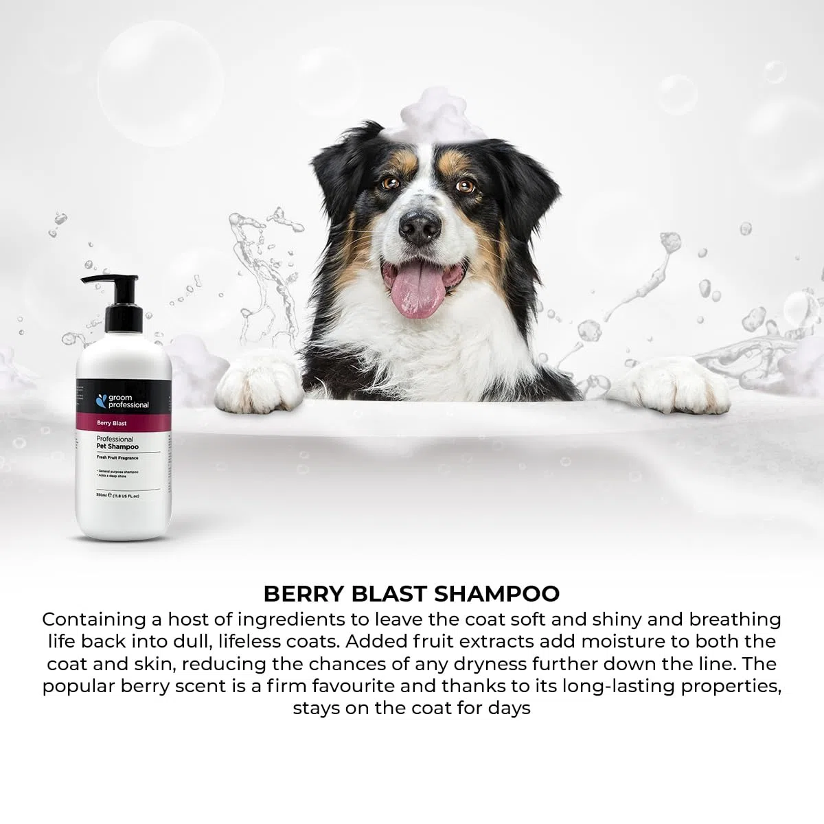 Groom Professional Champú para perros Berry Blast (4 L) – Salón concentrado 10:1 con extractos naturales de bayas, limpieza suave, hidrata, aroma a fruta de larga duración, Reino Unido