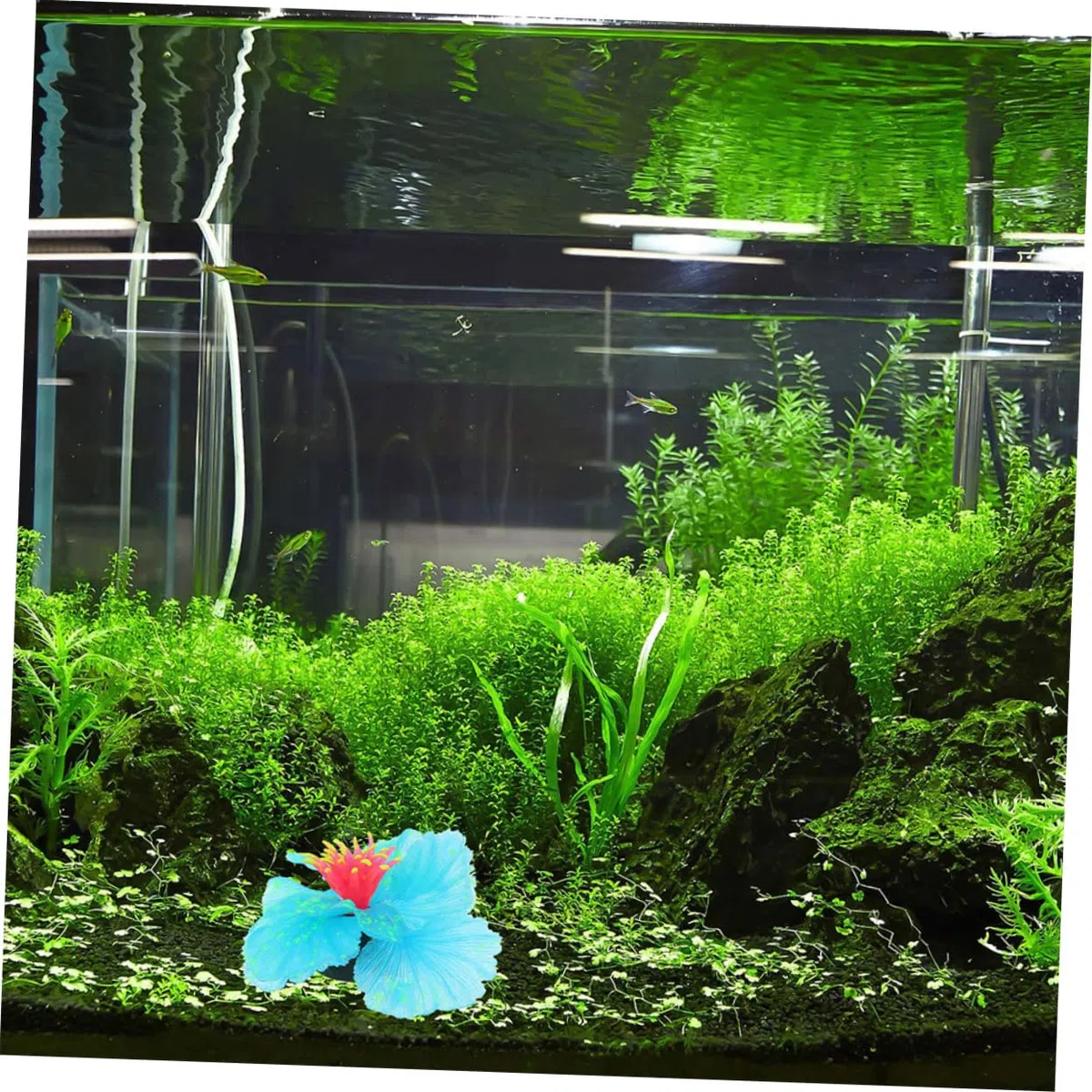Happyyami 4piezas Decoración De Acuario Artificial Resistente Accesorios De Planta para Peceras Decoración De Acuarios para Hogar y Escritorio