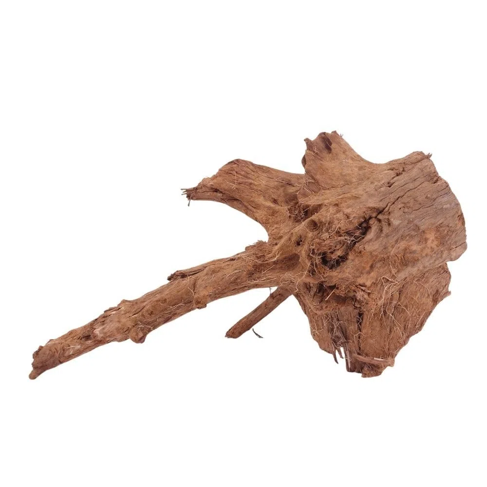 AquaOne Acuario de raíz decorativa L de manglar, madera auténtica, nº 4008, decoración de madera, plantas acuáticas, paisaje, musgo, naturaleza