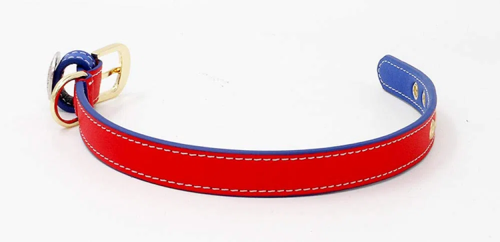 Correa para Mascotas Nuevo Collar de Perro de diseño Personalizado de Cuero Genuino para Mascotas, Collar de Gato, Accesorios para Perros, 100% Hecho a Mano, Collar de Perro pequeño para Cachorros-r
