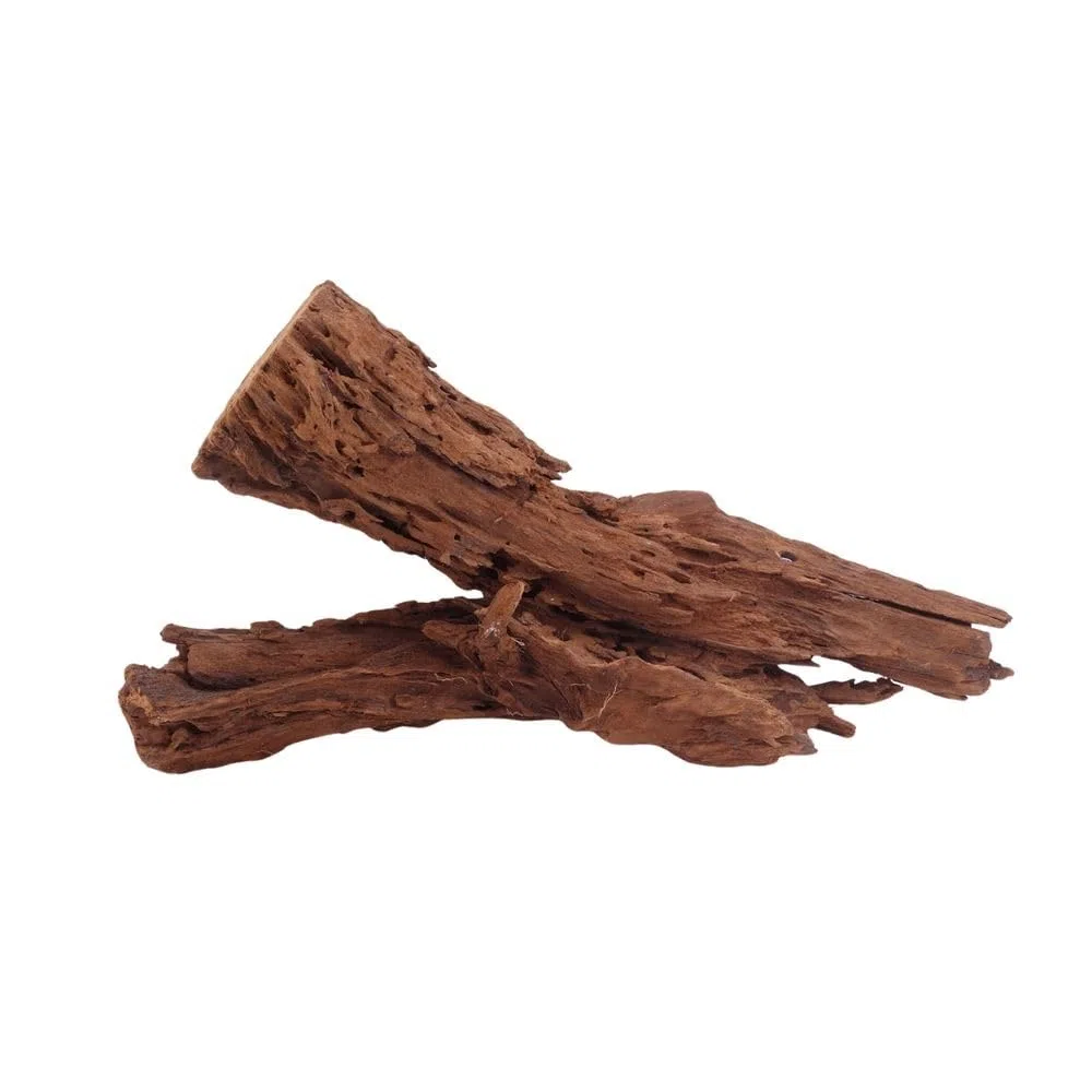 AquaOne Acuario de raíz decorativa L de manglar, madera auténtica, nº 4007, decoración de madera, plantas acuáticas, paisaje, musgo, naturaleza