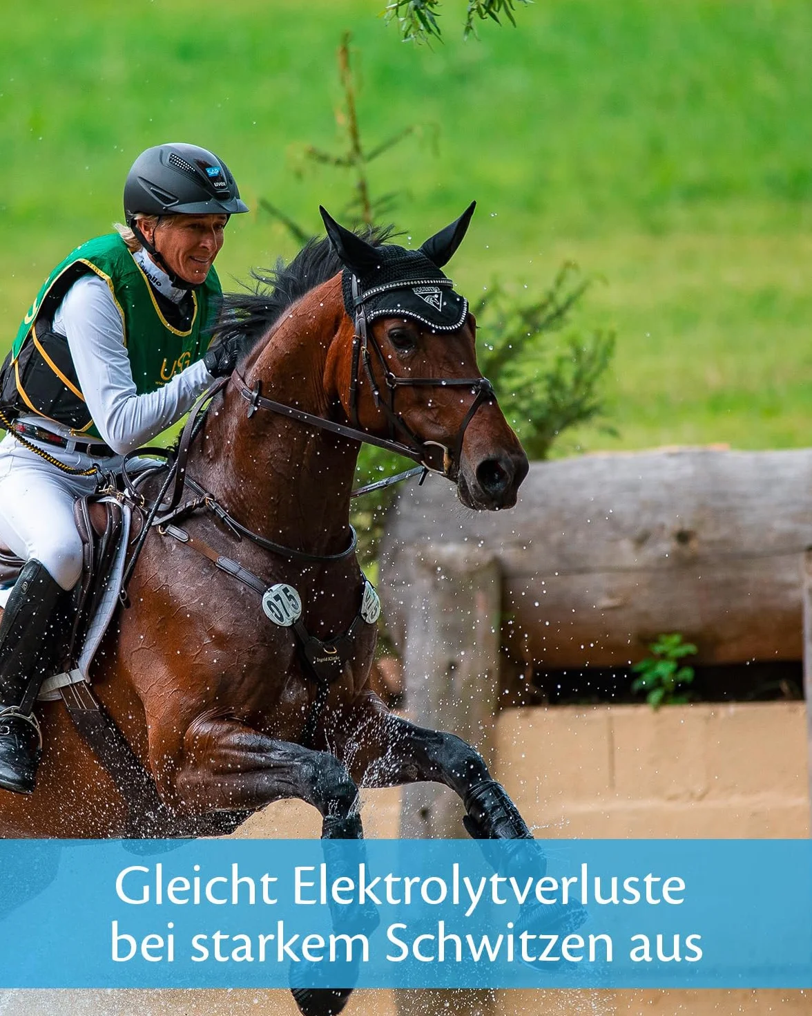 Vetoquinol - Equistro Elytaan - Complemento alimenticio para Caballos (1 x 1,27 kg)