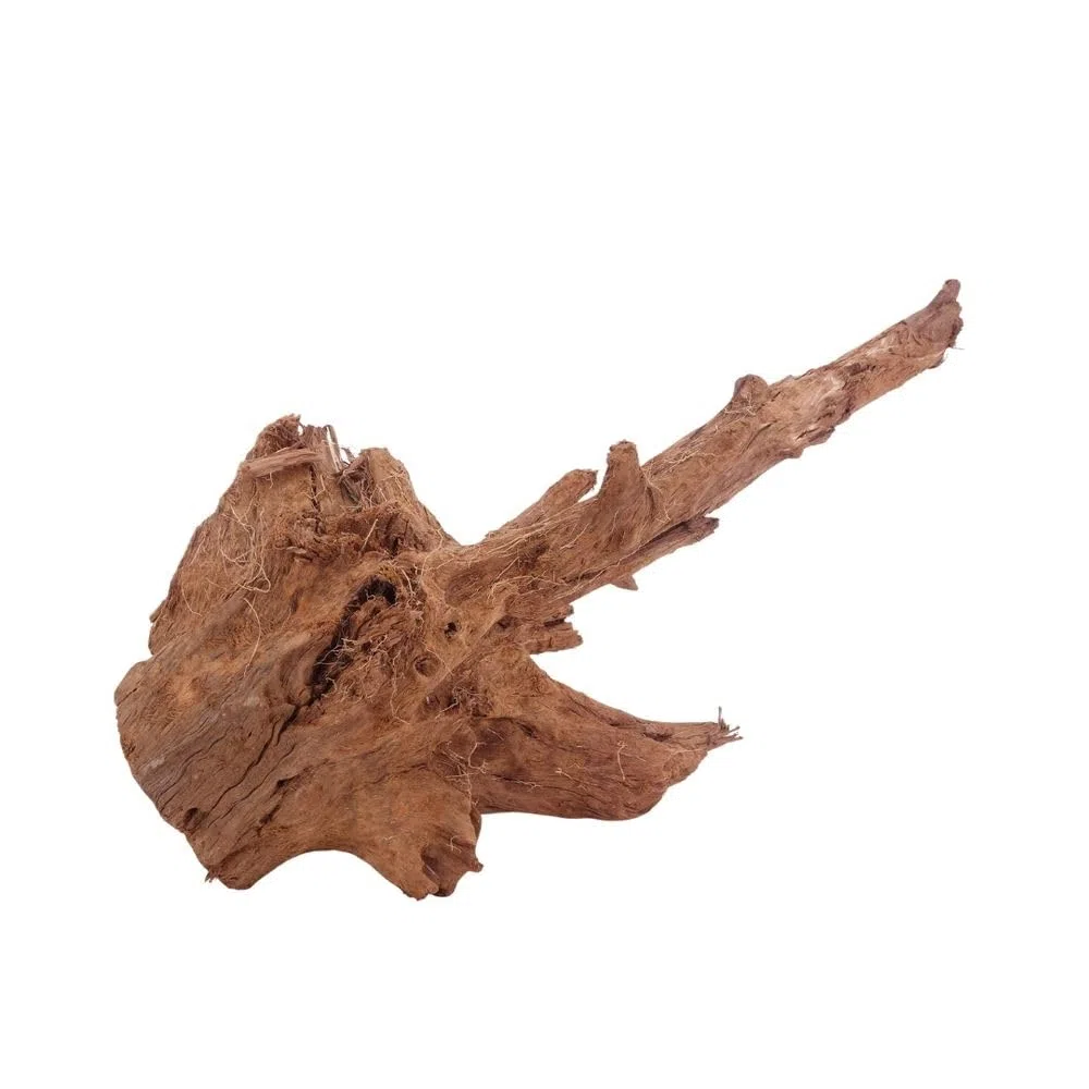 AquaOne Acuario de raíz decorativa L de manglar, madera auténtica, nº 4008, decoración de madera, plantas acuáticas, paisaje, musgo, naturaleza