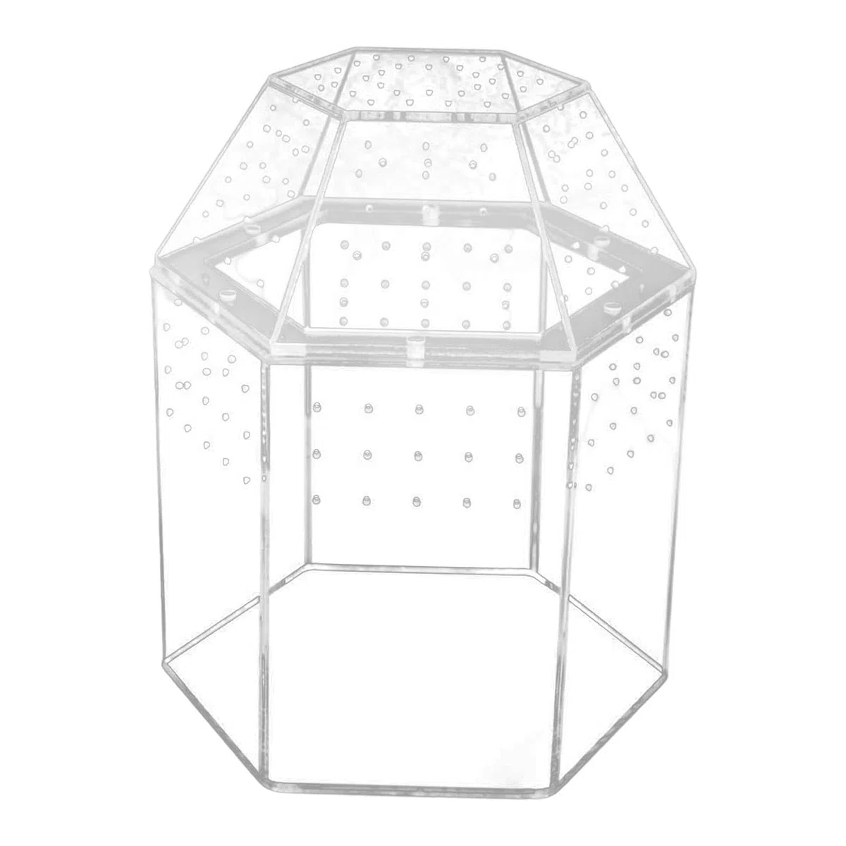 Qianly Terrario para Reptiles con Ventilación para Jaulas de Arañas Saltarinas Y Religiosas.
