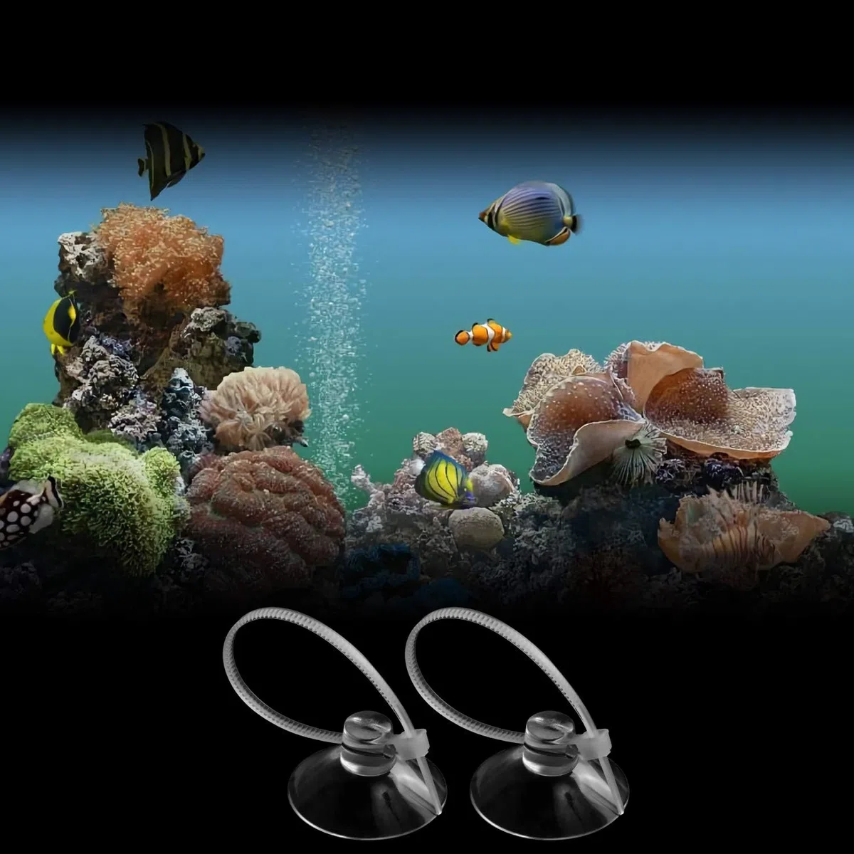 FEBSNOW Ventosas para acuario, ventosas para peceras, ganchos de succión para acuario con 30 bridas ajustables para plantas, macetas, nido de camarones de musgo (10)