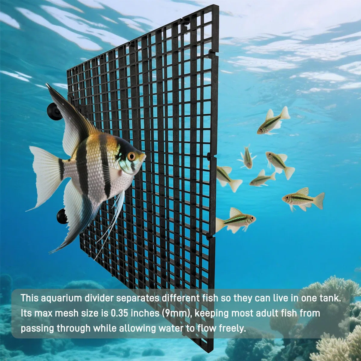 8 separadores de acuario, 11.8 x 11.8 pulgadas, rejilla de plástico con clips de ventosa, caja de huevos ajustable para cría mixta, toma de tortugas y protección inferior de filtro (negro)