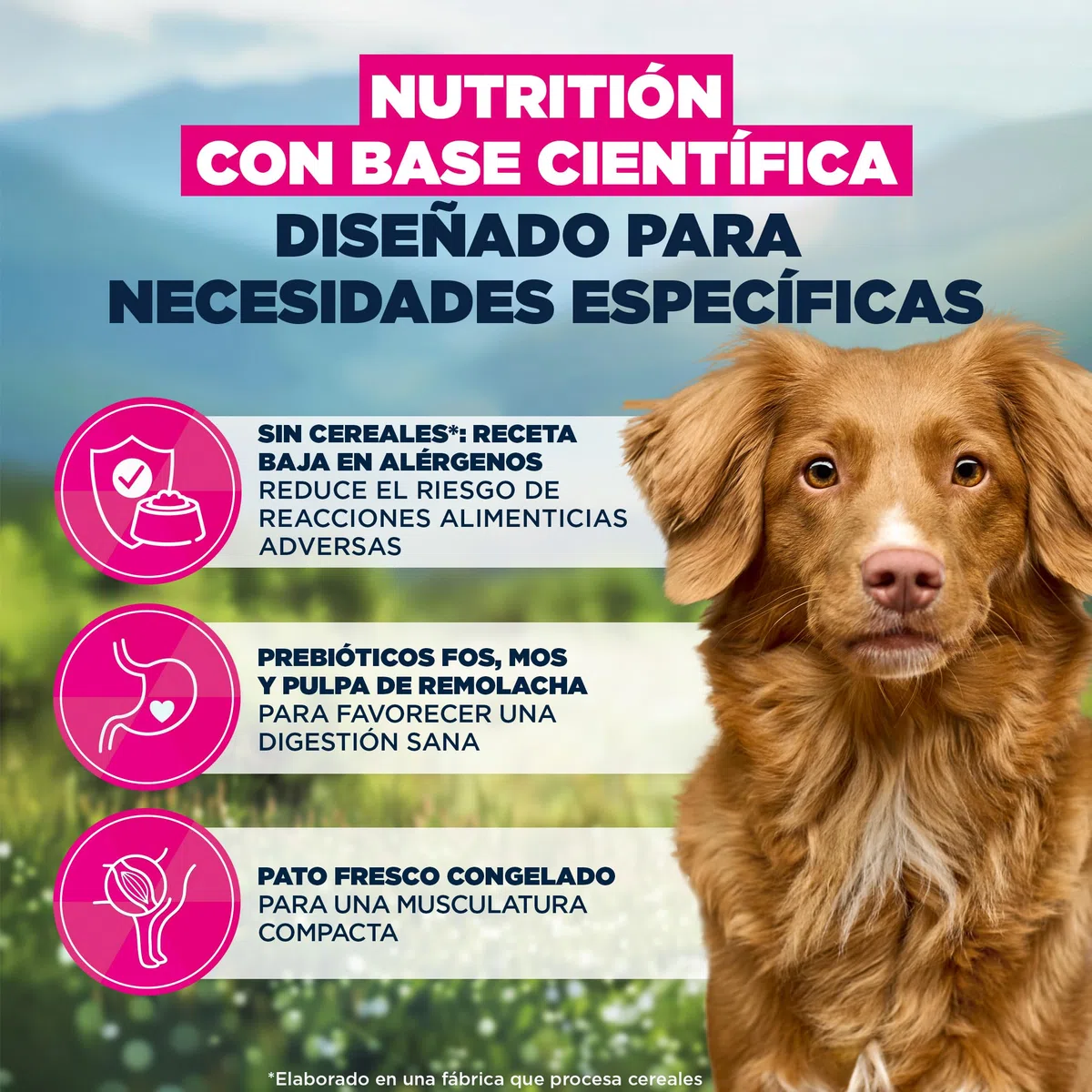 EUKANUBA Mono-Protein Pato - Alimento Seco para Perros, 12kg