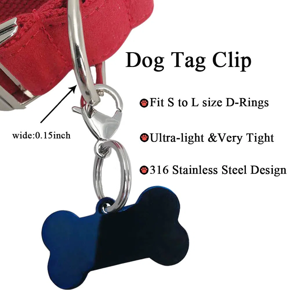 IVIA - Broches para Etiquetas de Perro (Acero Inoxidable, 316 L), diseño de Langosta con Anillos para Collares y Collares de Gato y Perro
