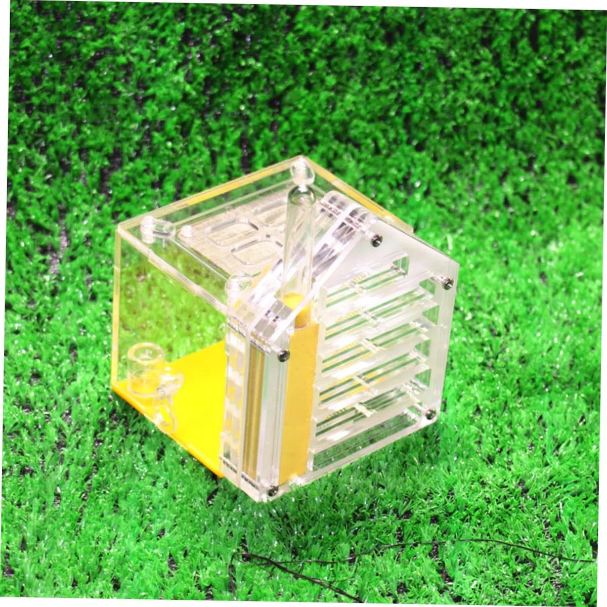 TOYANDONA Juguete Nido de Hormigas Regalo hábitat Granja de Hormigas Transparente Acrílico terrario