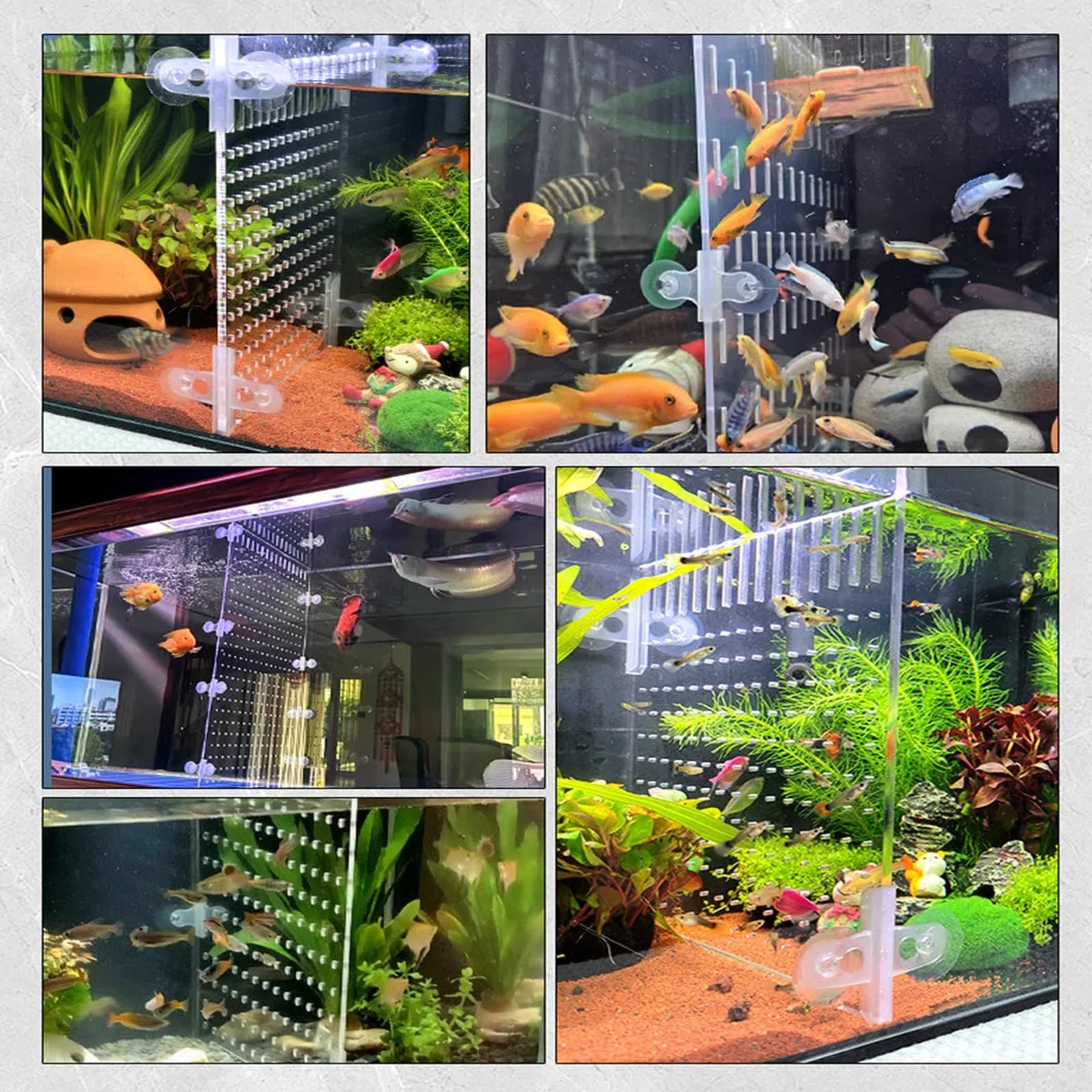Separador De Acrílico para Acuario Separador para Pecera Rejilla De Aislamiento De Acrílico con Ventosas para Aislamiento De Peces Multiusos(5mm Thick)