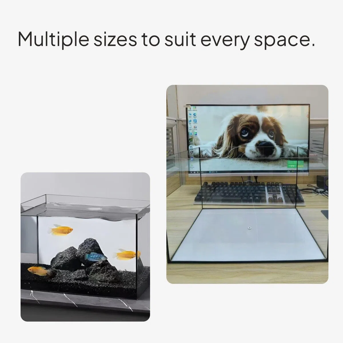 Sharplace Acuario Pecera Tanque Cristal Recipiente con Vidrio Transparente y Forma Recta Adecuado para Paisajes Acuáticos Mascotas y Decoración en Espacios Interiores, 30 * 18 * 20cm