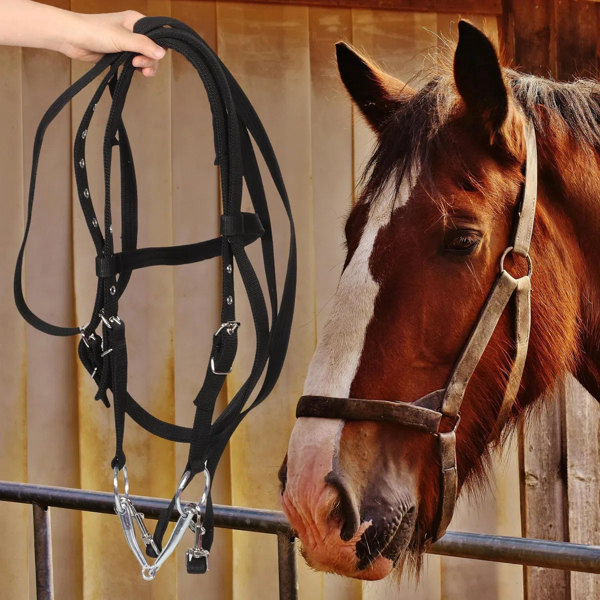 Cabestro de Cuerda para Caballo Negro Pequeño de Nylon para Montar