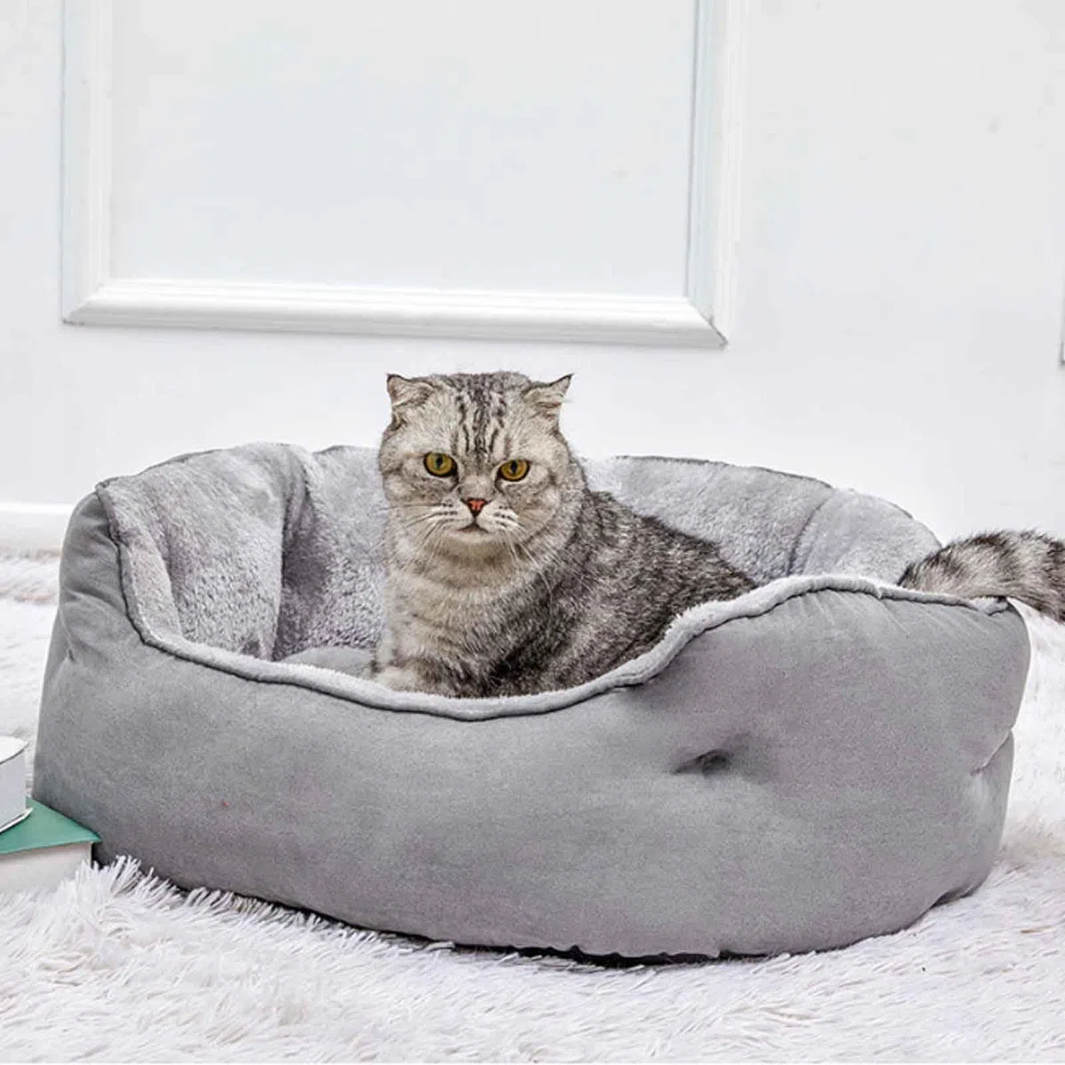 Cama para Perro Lavable, Cama Perro con Fondo Antideslizantes, Cama Gato con Cojín Desenfundable, Suave Y Mullida, para Perro Y Gato Pequeños,Azul,S