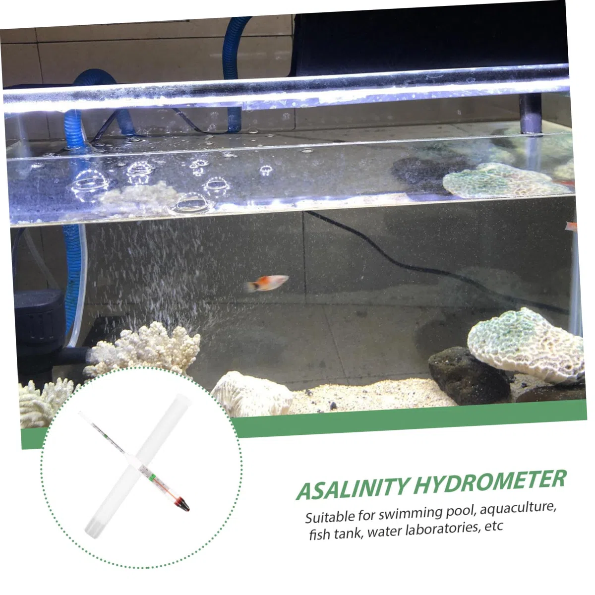 POPETPOP 10juegos Medidor De Salinidad para Acuarios Salinómetro Preciso Vidrio para Tanques De Peces y Acuarios Fácil De Usar y Duradero Rango De Medición