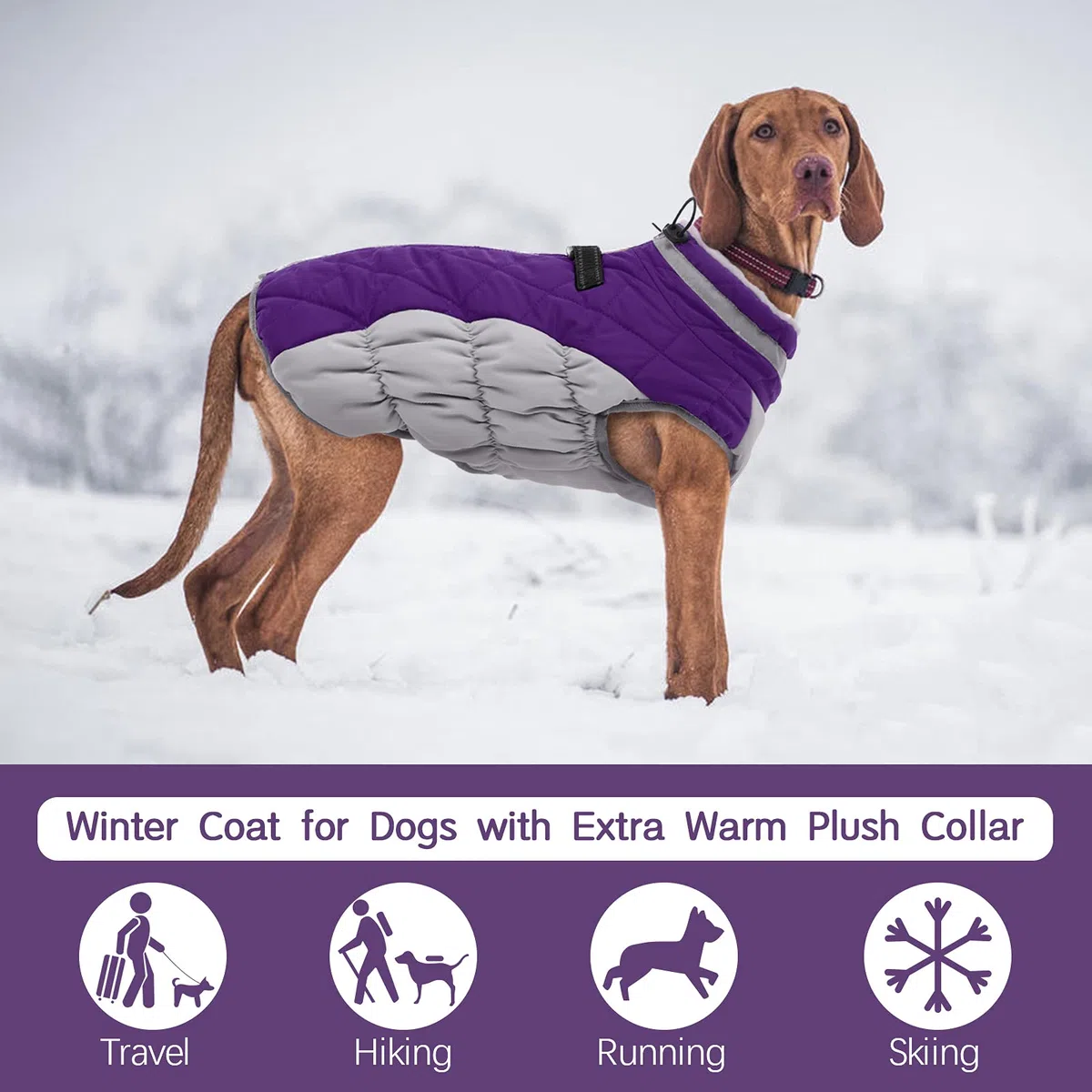 FUAMEY Chaleco acolchado para perro – Abrigo reflectante de invierno para perro, resistente al viento, chaqueta de invierno, cómoda ropa de perro para clima frío – Chaleco a prueba de nieve para