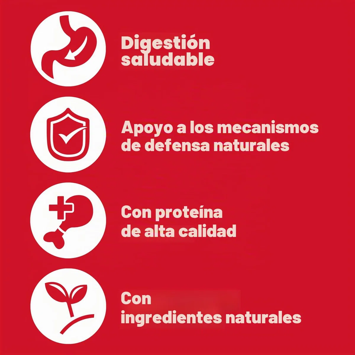 Pedigree Comida húmeda para adultos para perros con pollo y zanahoria en jalea, 6 x 1200 g (6 latas)