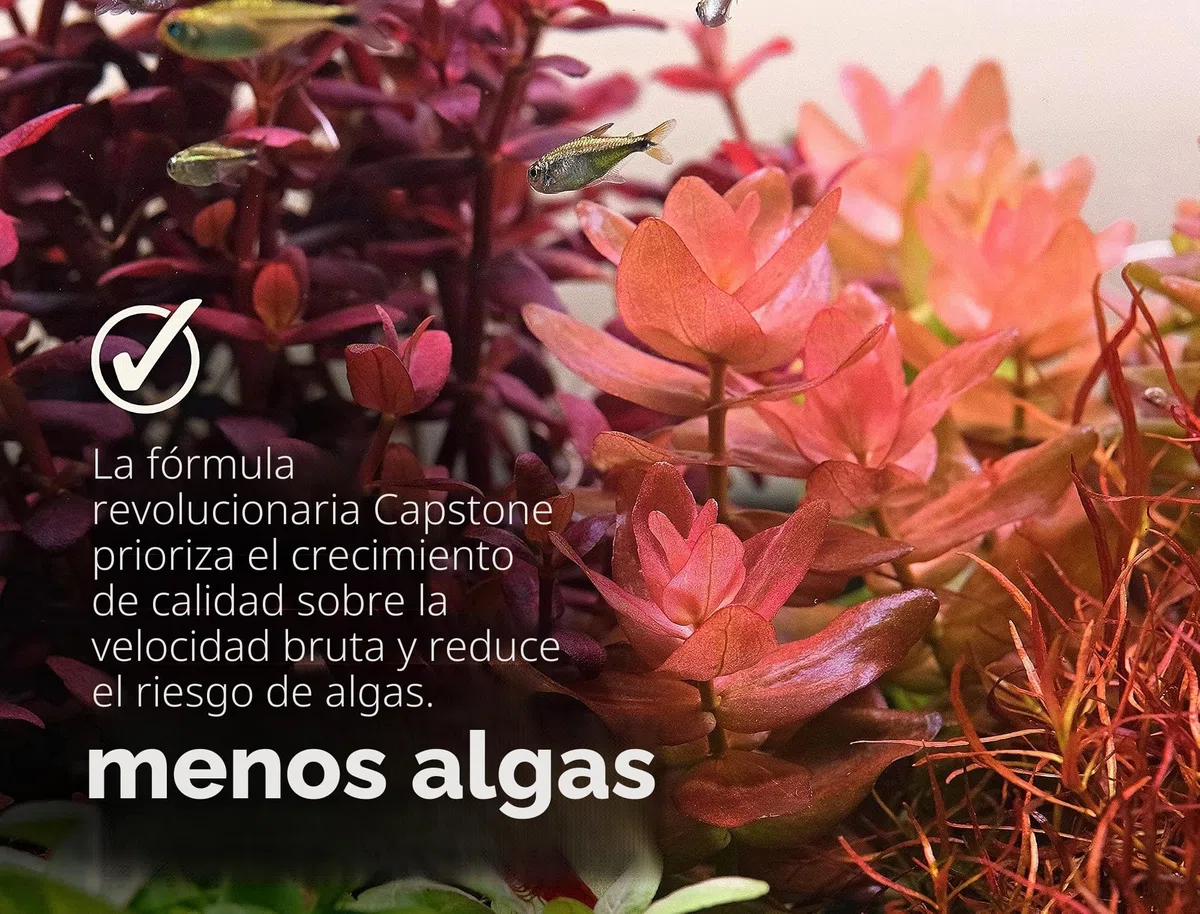 THE 2HR AQUARIST Abono Plantas Acuario APT 3/ Complete (1000ml)