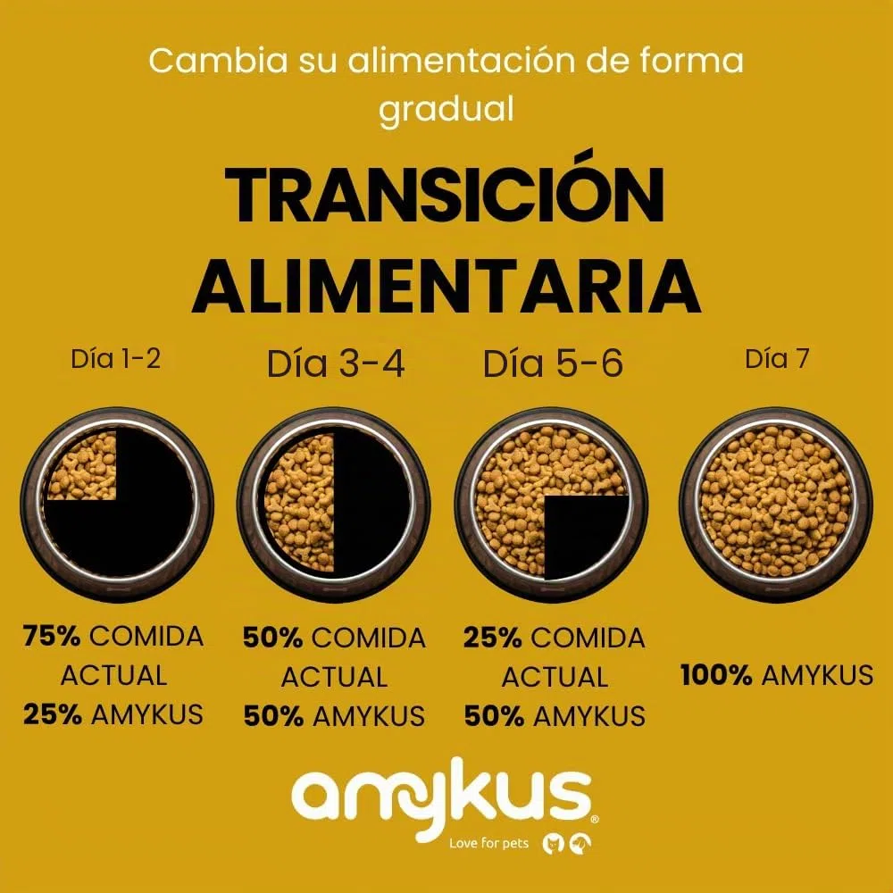 Hypoallergenic Grain Free Salmon 8 kg | Pienso para Perros Adultos Hipoalergénico sin Cereales | De Salmón | para Perros con Alergias o Intolerancias Alimentarias