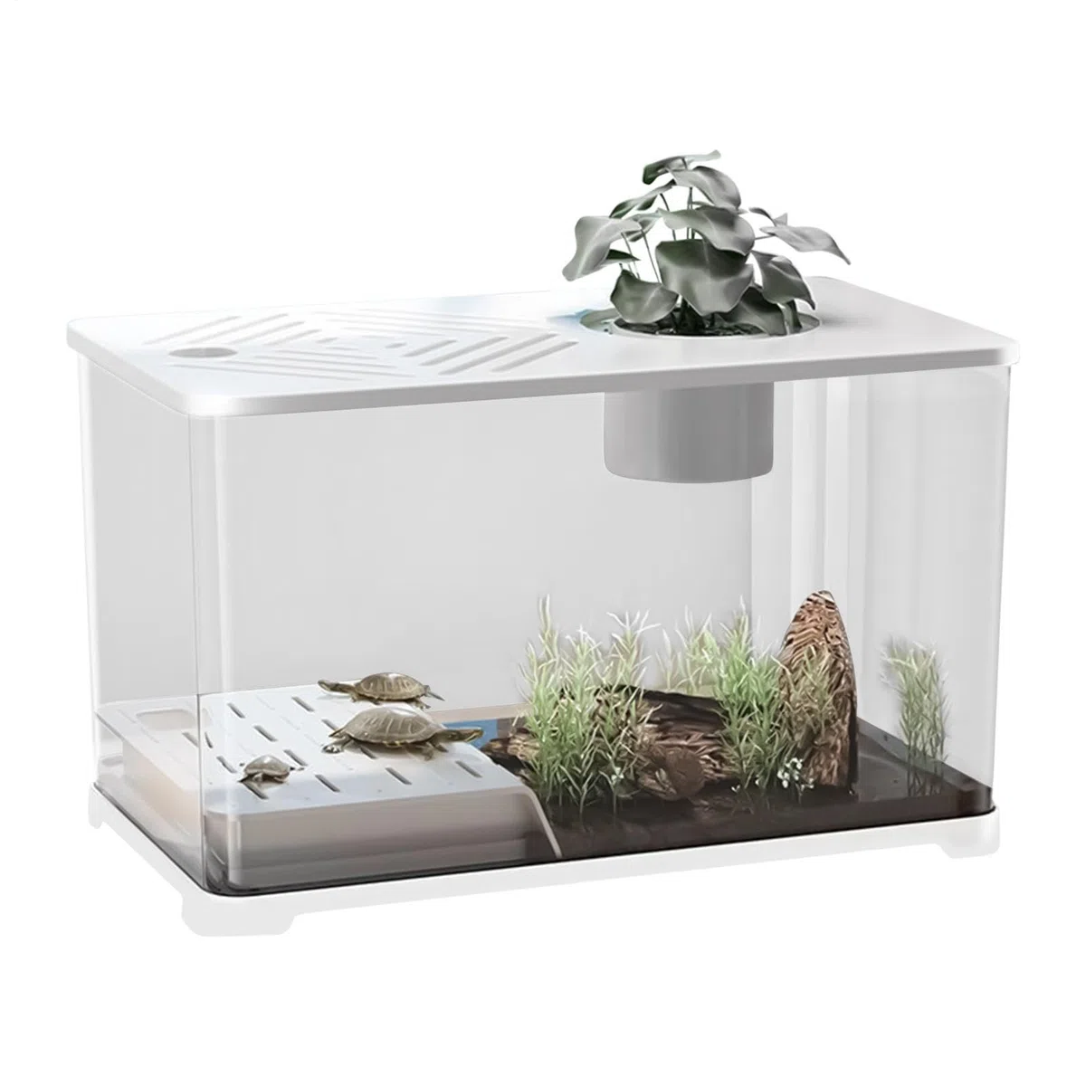 Pecera Gran Kit Acuario Pecera Escritorio