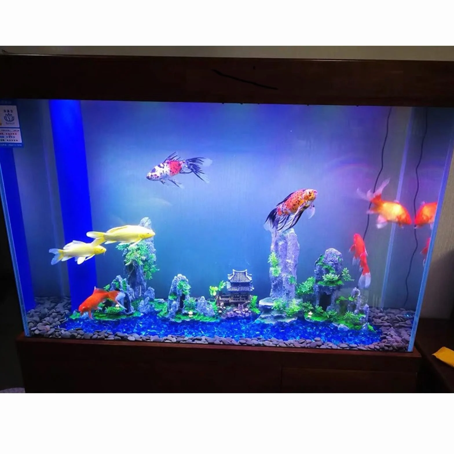 1 pieza de planta rocalla for acuario, decoración pecera, paisajismo, accesorios decorativos for 047(42)