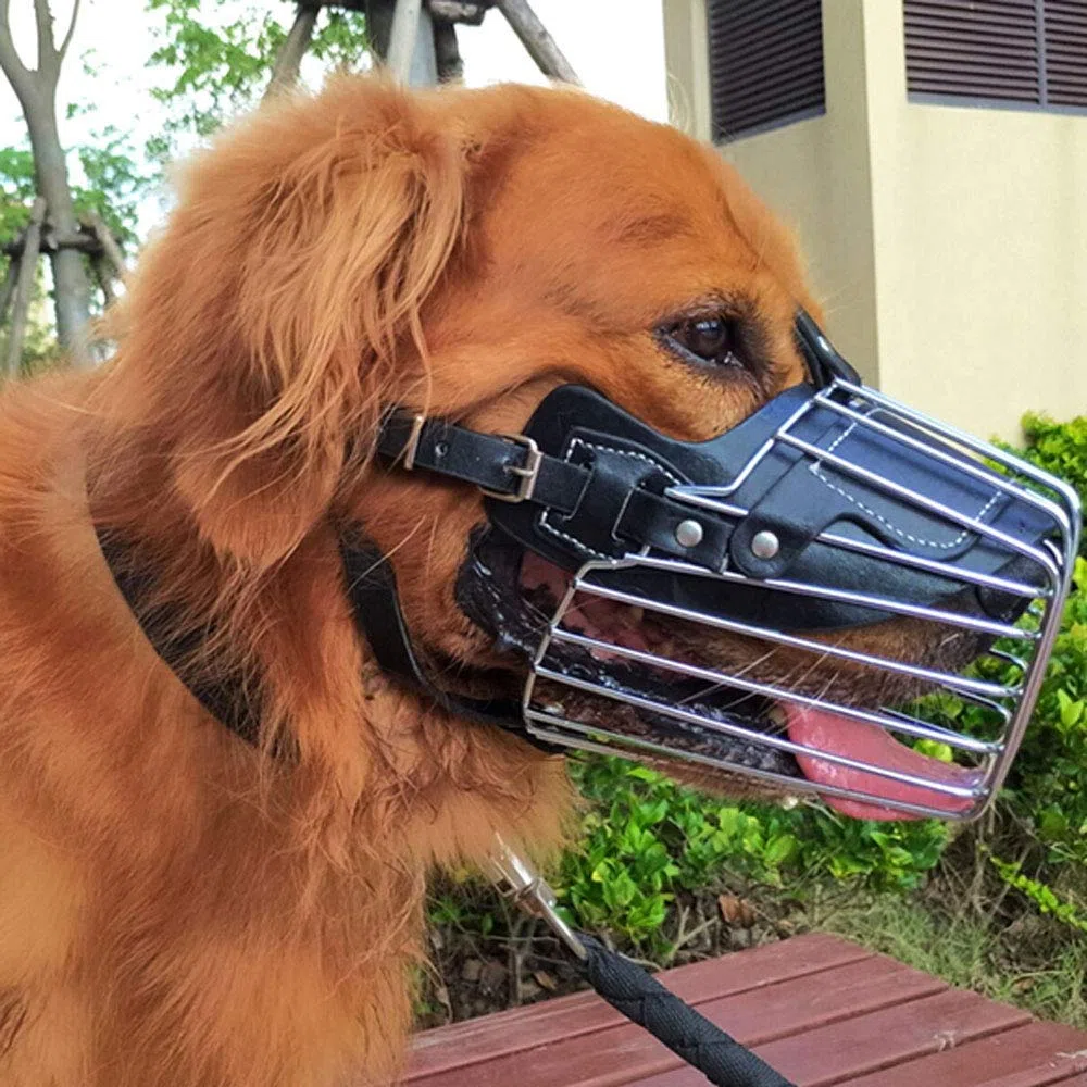 For Perros medianos y Grandes: Protege contra ladridos, mordiscos masticaciones Gracias a su Material de Poliuretano Reforzado