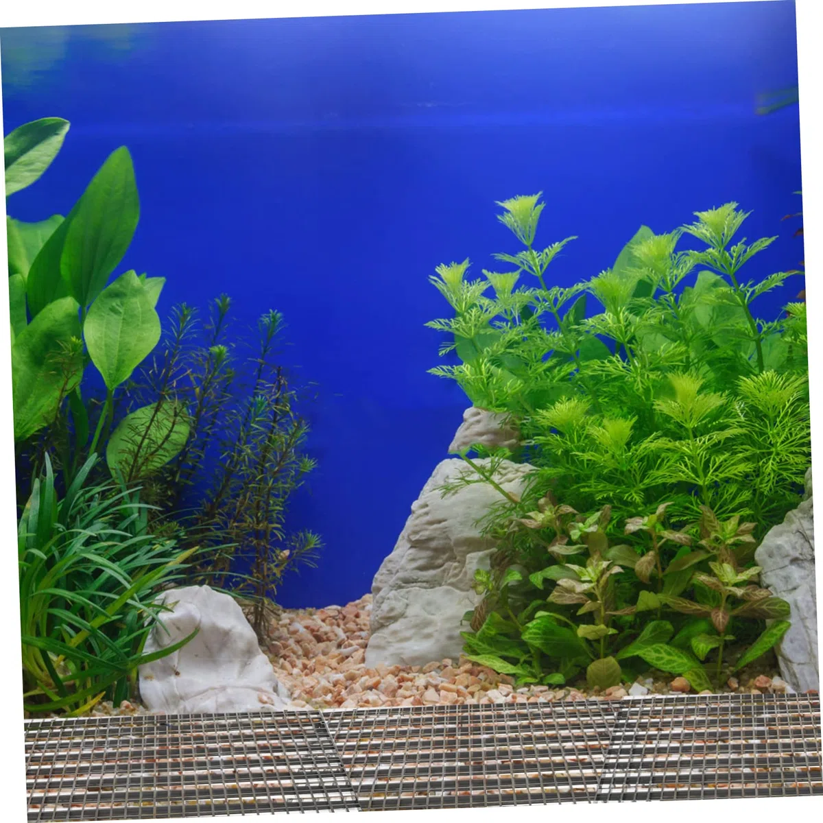 1juego Divisor De Acuario Ventosas Separador De Peces para Tanques Rejilla De Aislamiento Modular De Fácil Instalación y Personalización para Peceras