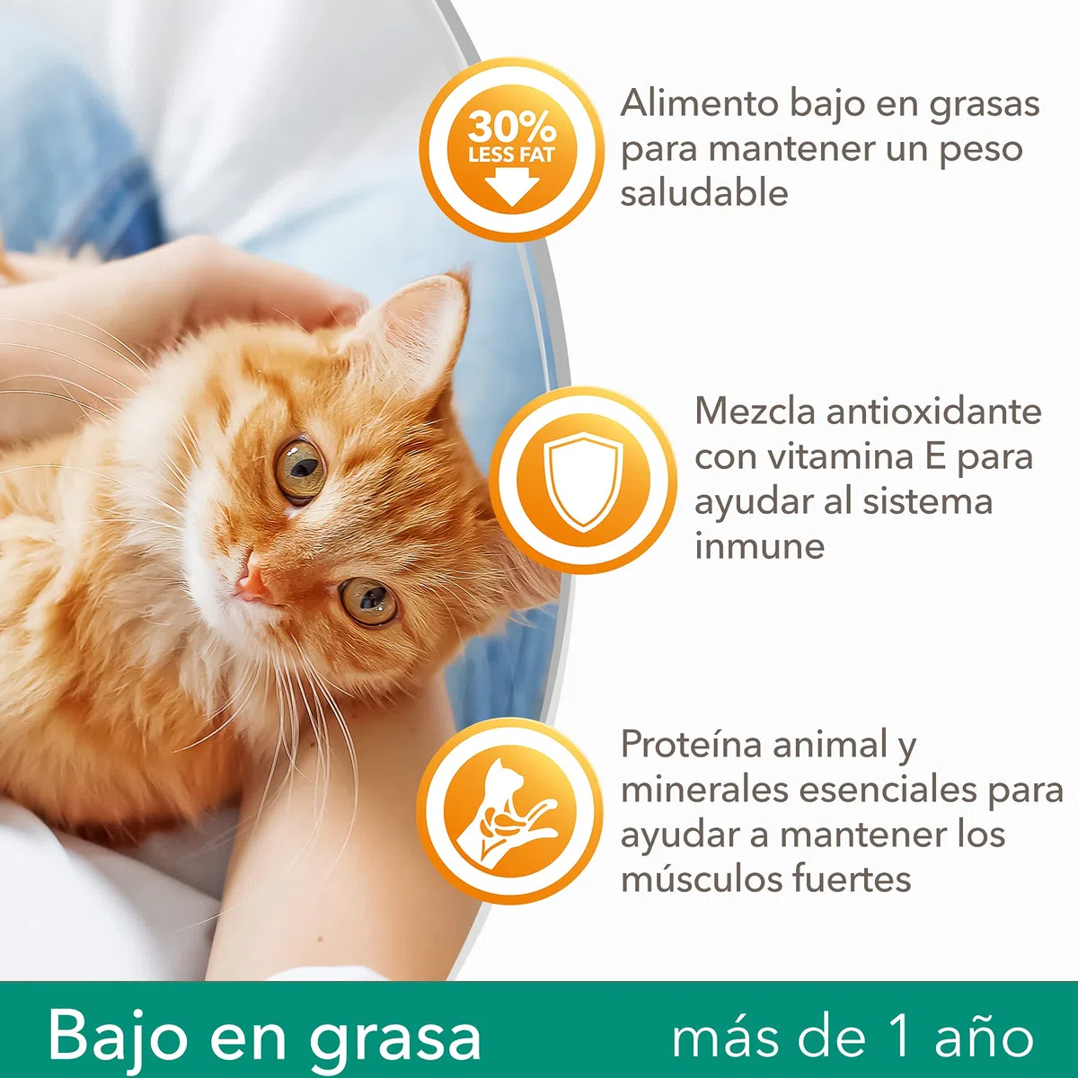 IAMS for Vitality Bajo en Grasa - Alimento seco para Gatos Adultos y de Edad Avanzada (más de 1 año) con Pollo Fresco, 10 kg