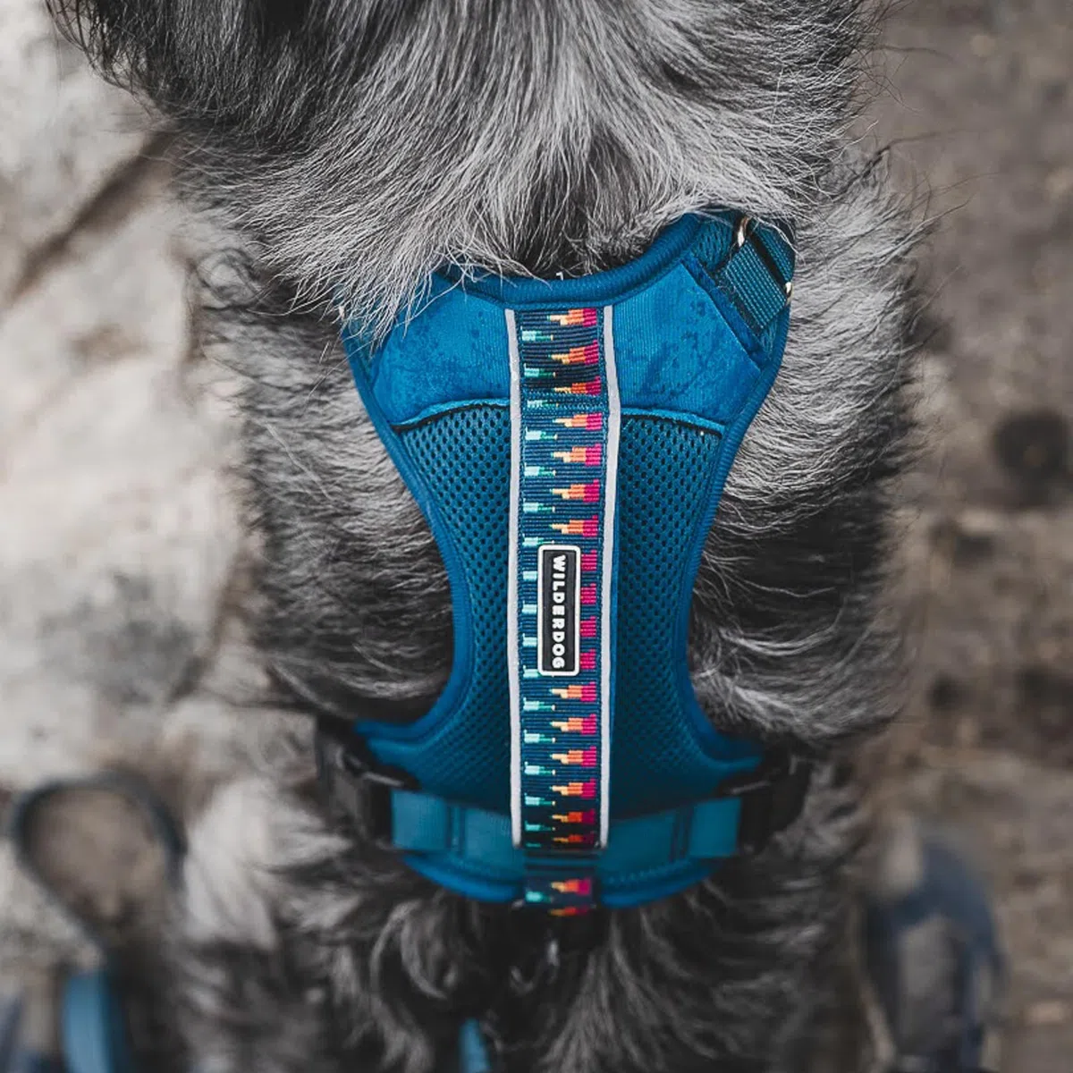 Wilderdog Arnés Ligero para Perro con Correas Reflectantes, tamaño Mediano, Color Azul pacífico