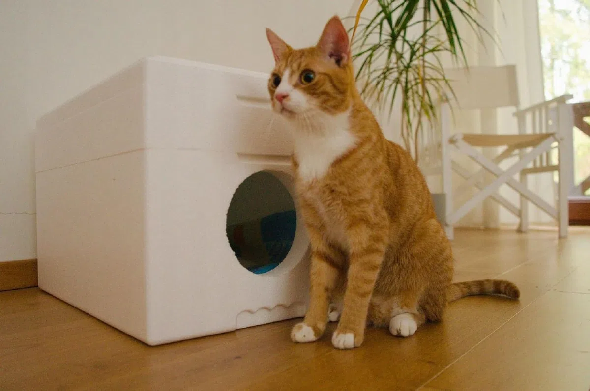QLS Caseta para gatos de poliestireno resistente a la intemperie – 58 x 38 cm aislado para exteriores