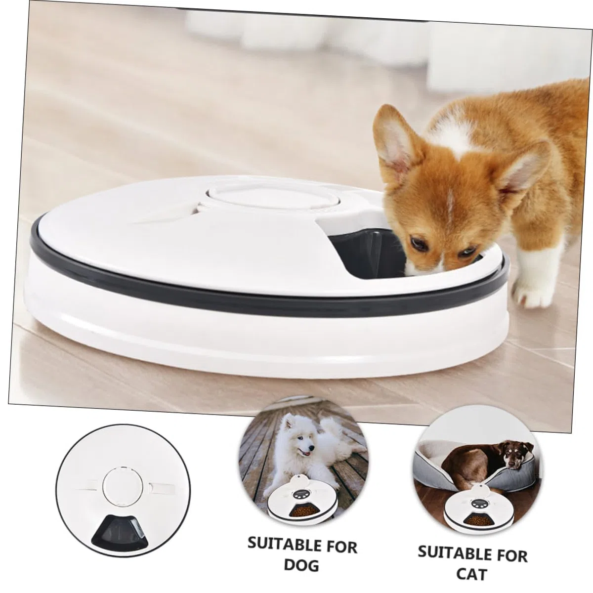 Comedero Automático Temporizado para Mascotas 6 Compartimentos | Capacidad 90g, Abs Negro, Diseño Desmontable Base Antideslizante, Fácil Limpieza y Colocación en Esquina