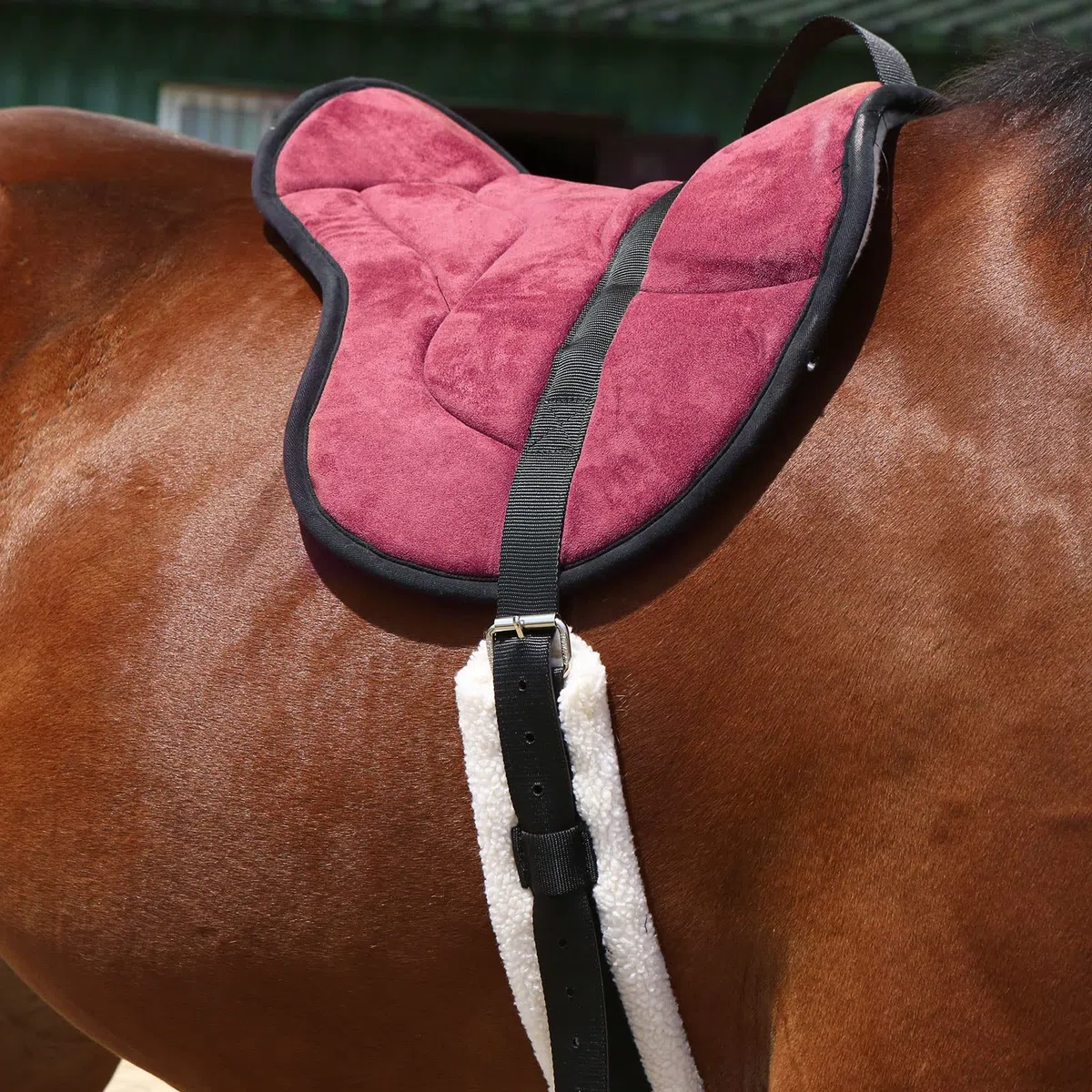 Harrison Howard - Almohadilla para Montar a Caballo con cincha