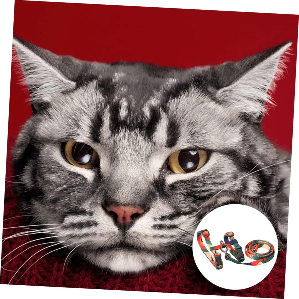 DOITOOL 3piezas Correa De Arrastre para Gatos Arnés Material De Resistente Diseño Ligero y Cómodo para Paseos Seguros Accesorios para Mascotas para Uso Diario