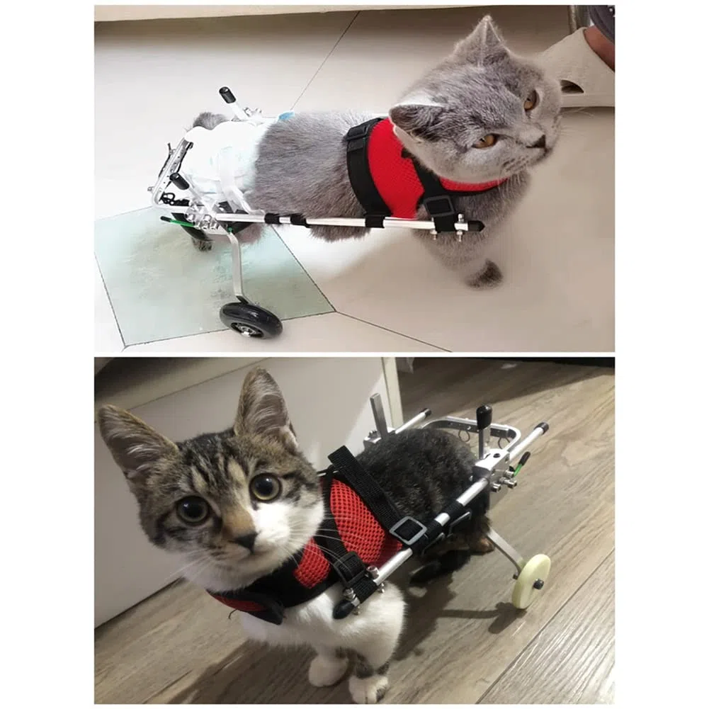 N.F. Silla de Ruedas para Gatos, Silla de Ruedas para Mascotas Liviana de 2 Ruedas, Ruedas para Caminar Asistidas Ajustables para discapacitados Gatos pequeños débiles y Perros pequeños 0.8-8kg