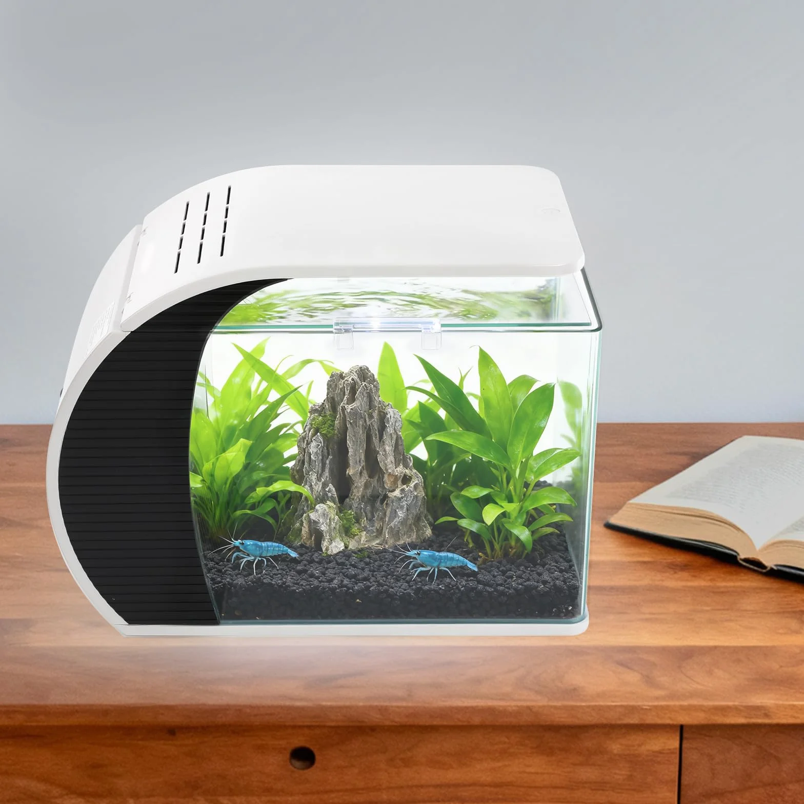 Acuario pequeño de cristal con iluminación LED de 19 litros | Adecuado para mantener guppies, peces pequeños y plantas acuáticas en el dormitorio u oficina