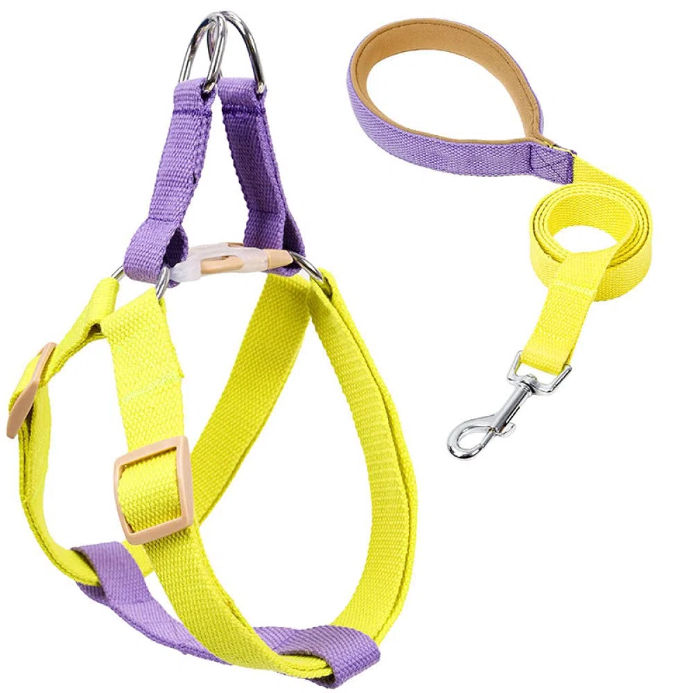 con arnés y Correa for Perros pequeños, de Nailon antitirones, Juego Collar GL(C,L)