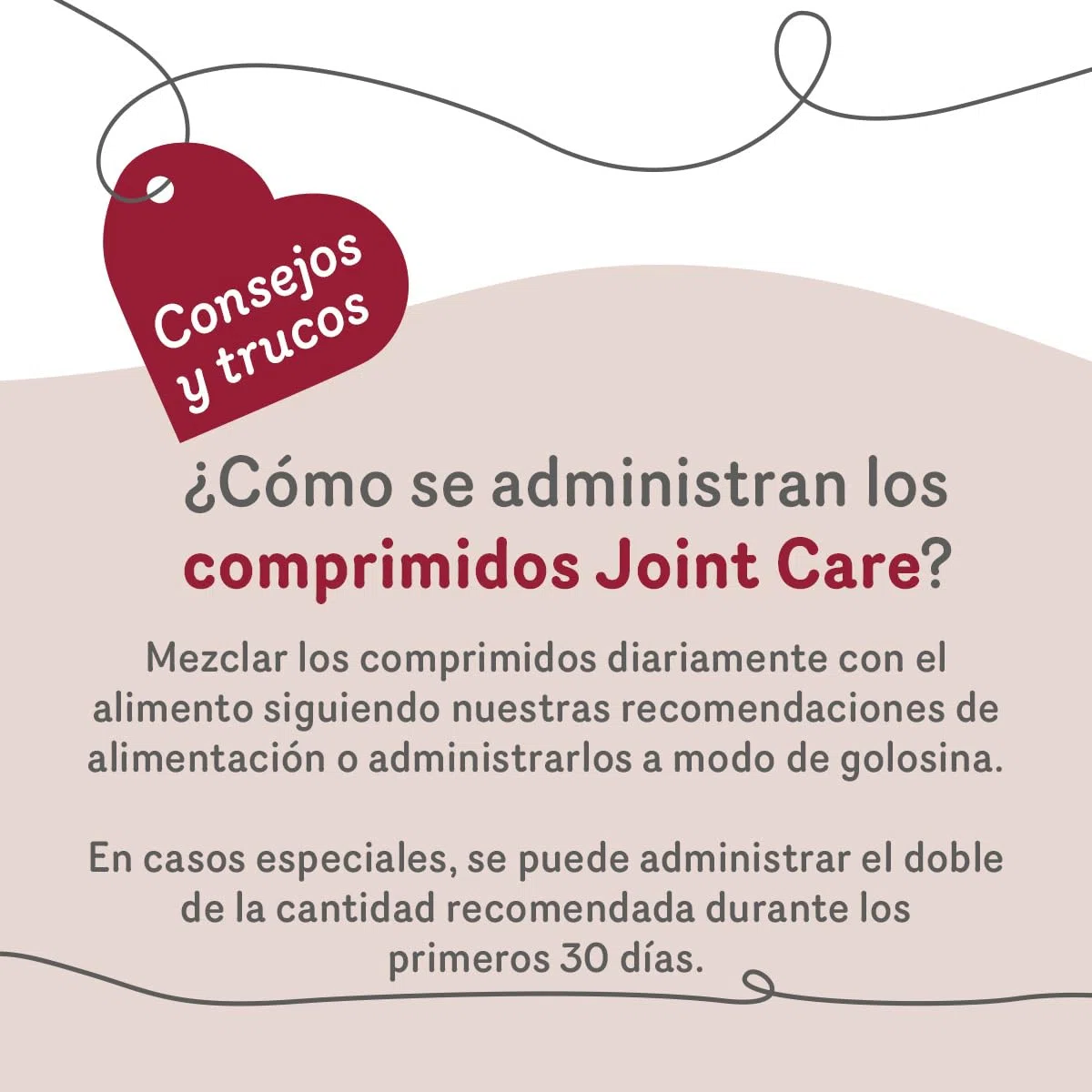 GRAU - Joint Care Aprox. 185 uds., alimento complementario para Perros